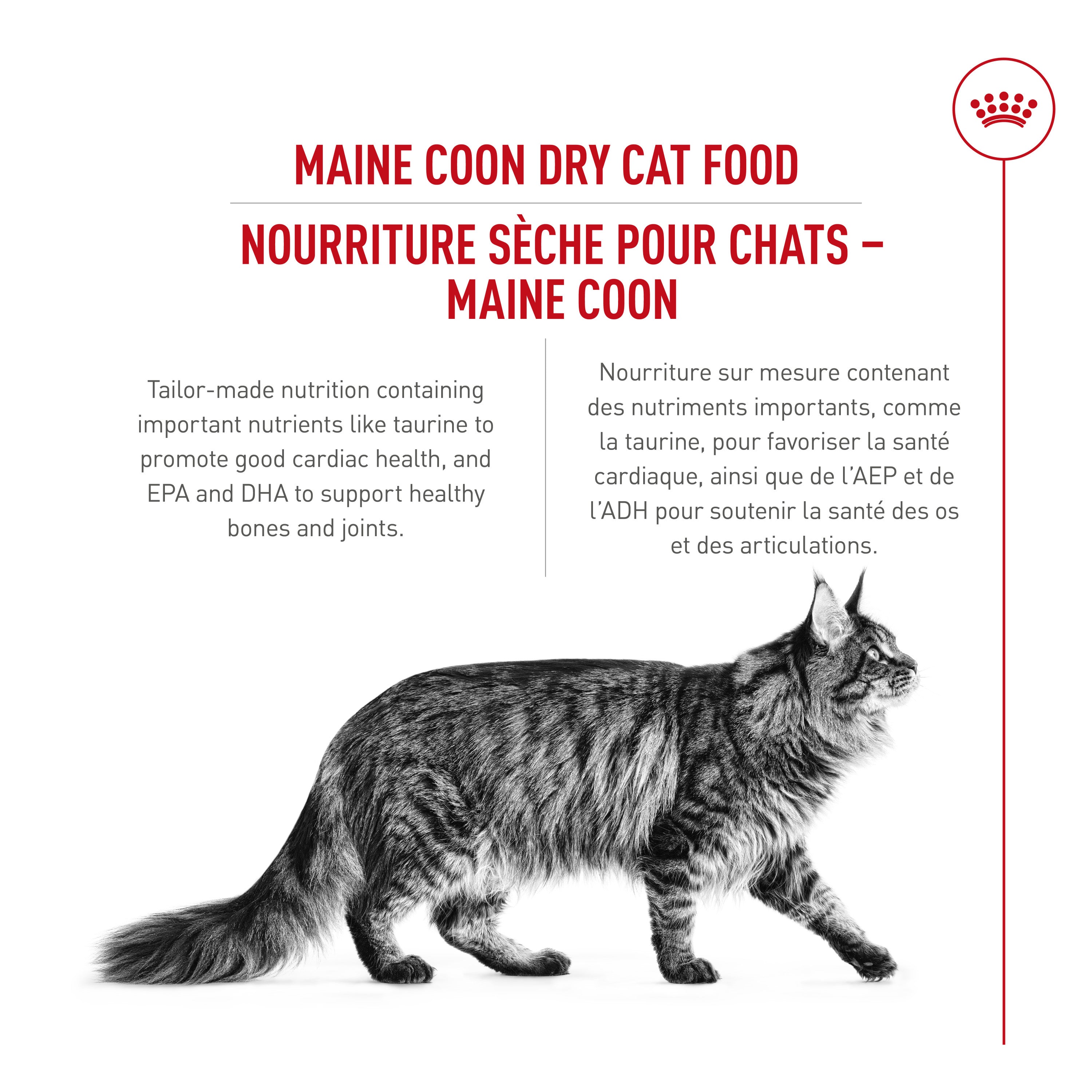 Royal Canin® Feline Breed Nutrition™ Maine Coon Dry Cat Food