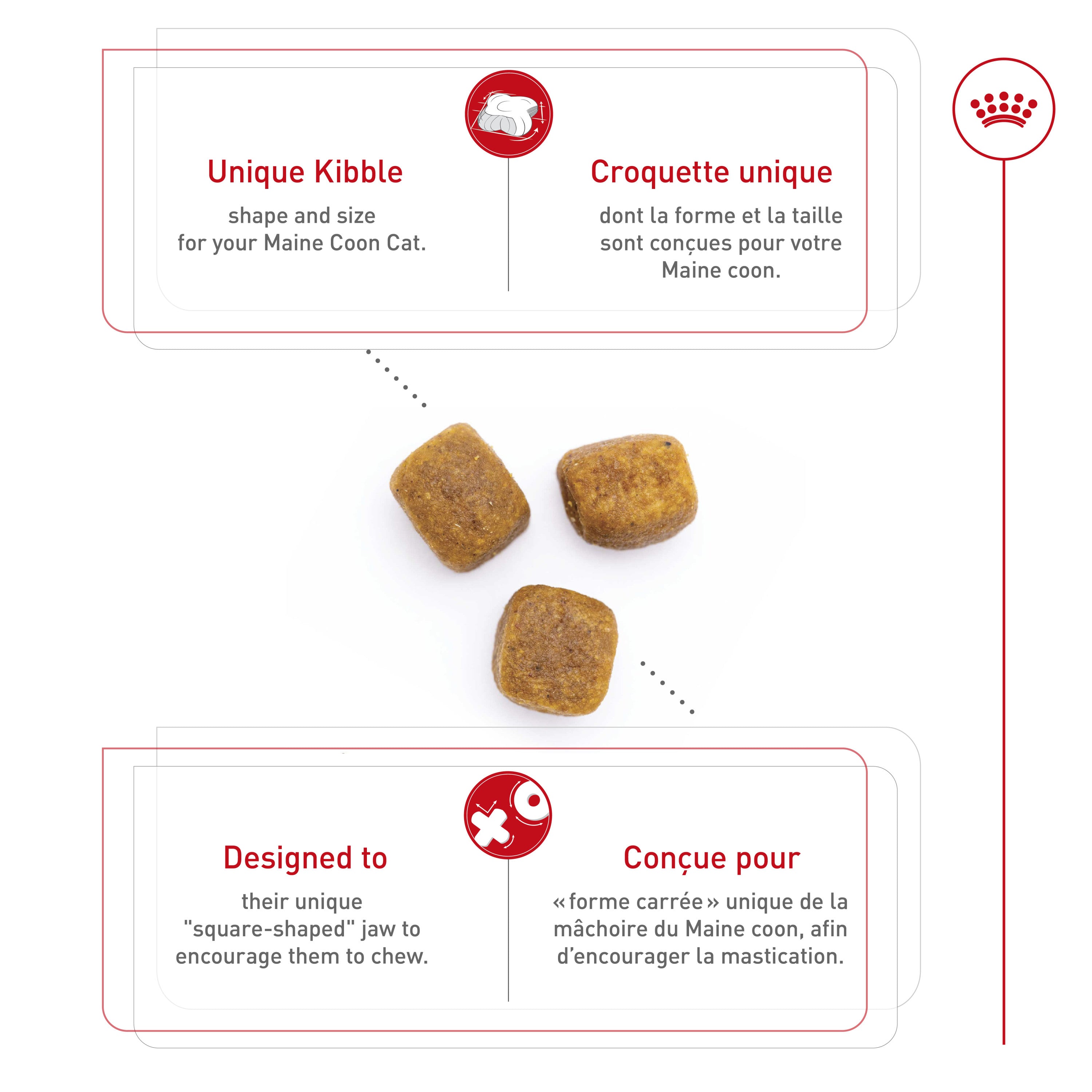 Royal Canin® Feline Breed Nutrition™ Maine Coon Dry Cat Food