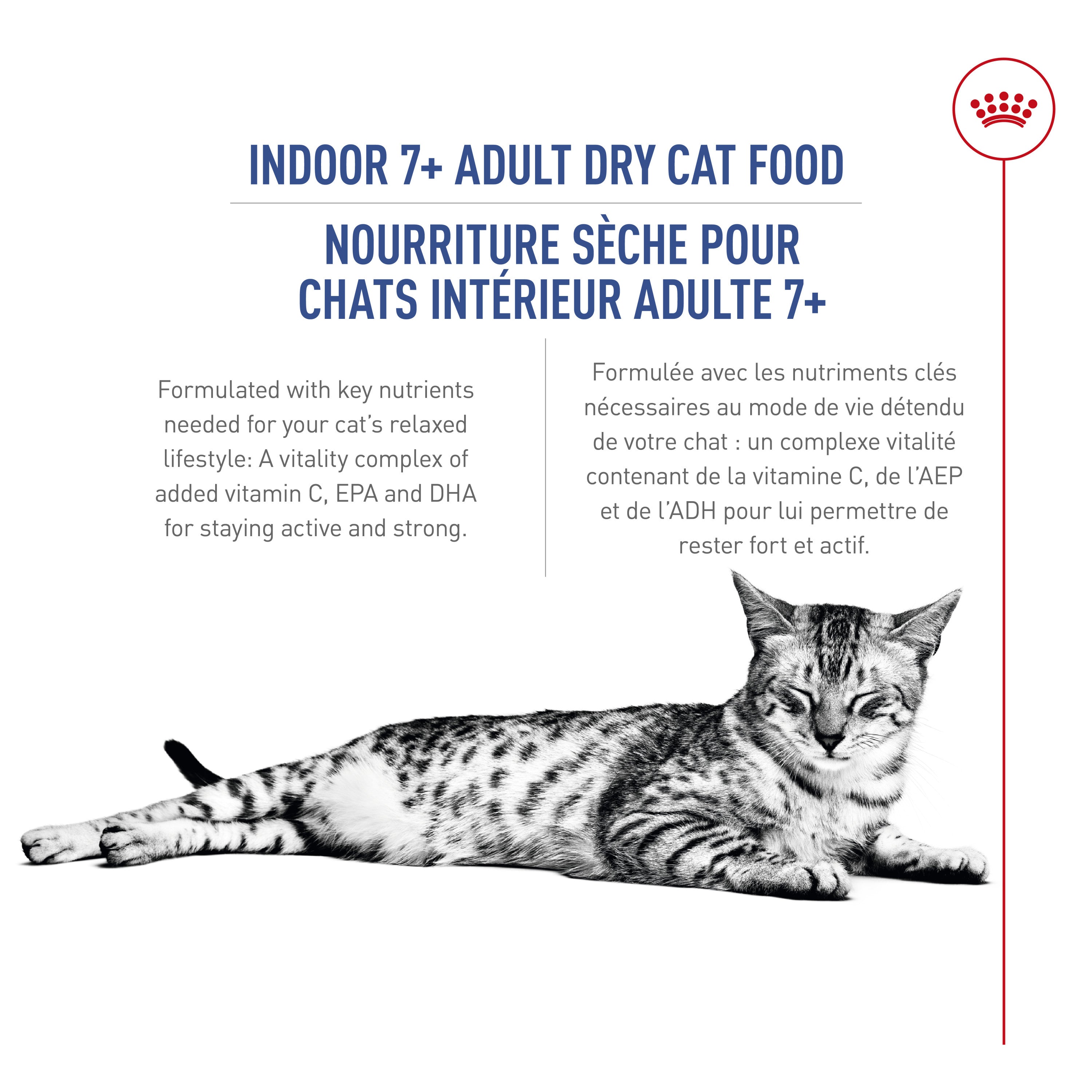 Royal Canin Cat Food Indoor Mature Adult 7+