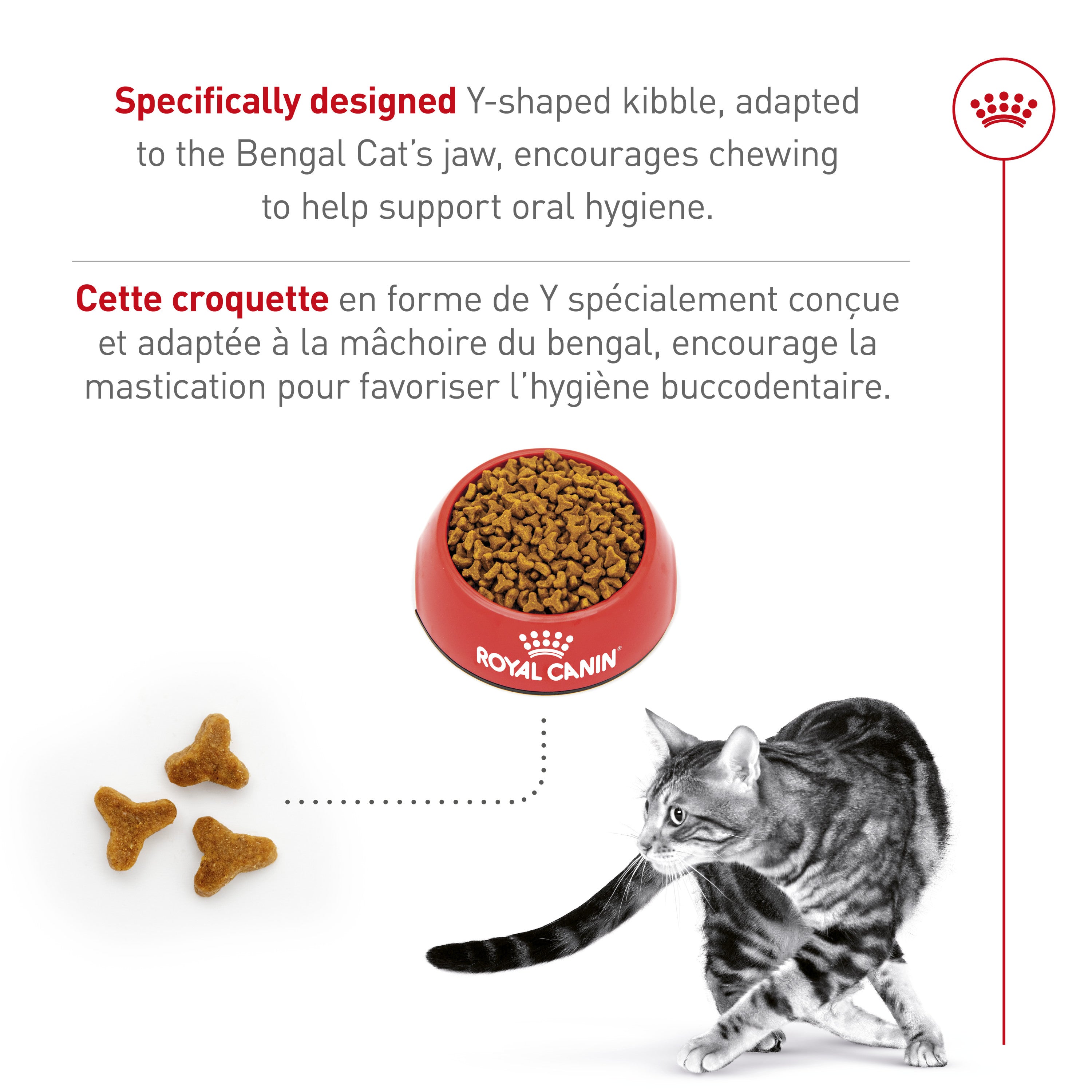 Royal Canin Feline Breed Nutrition Bengal Adult Dry Cat Food