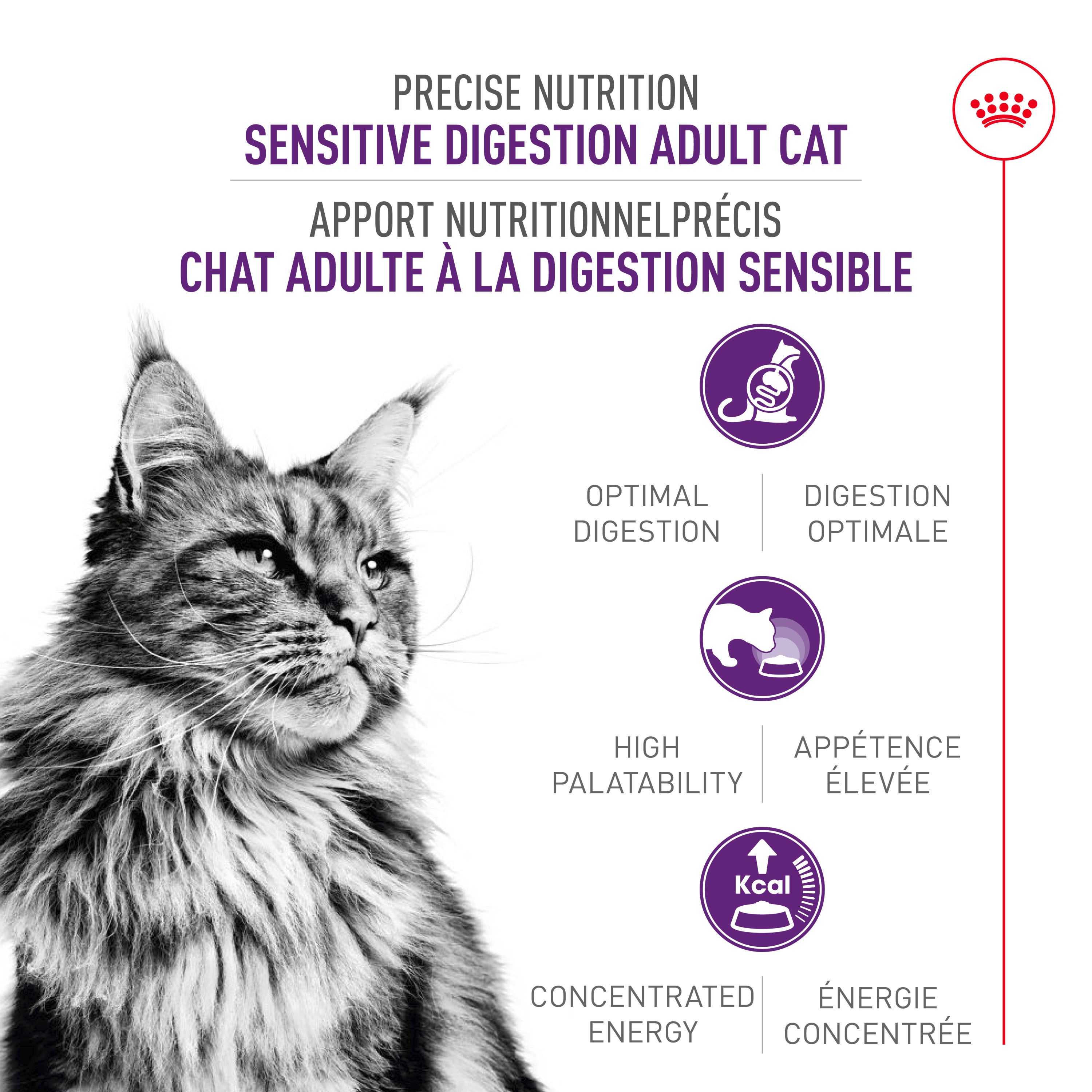 Royal Canin Chat Digestion Sensible