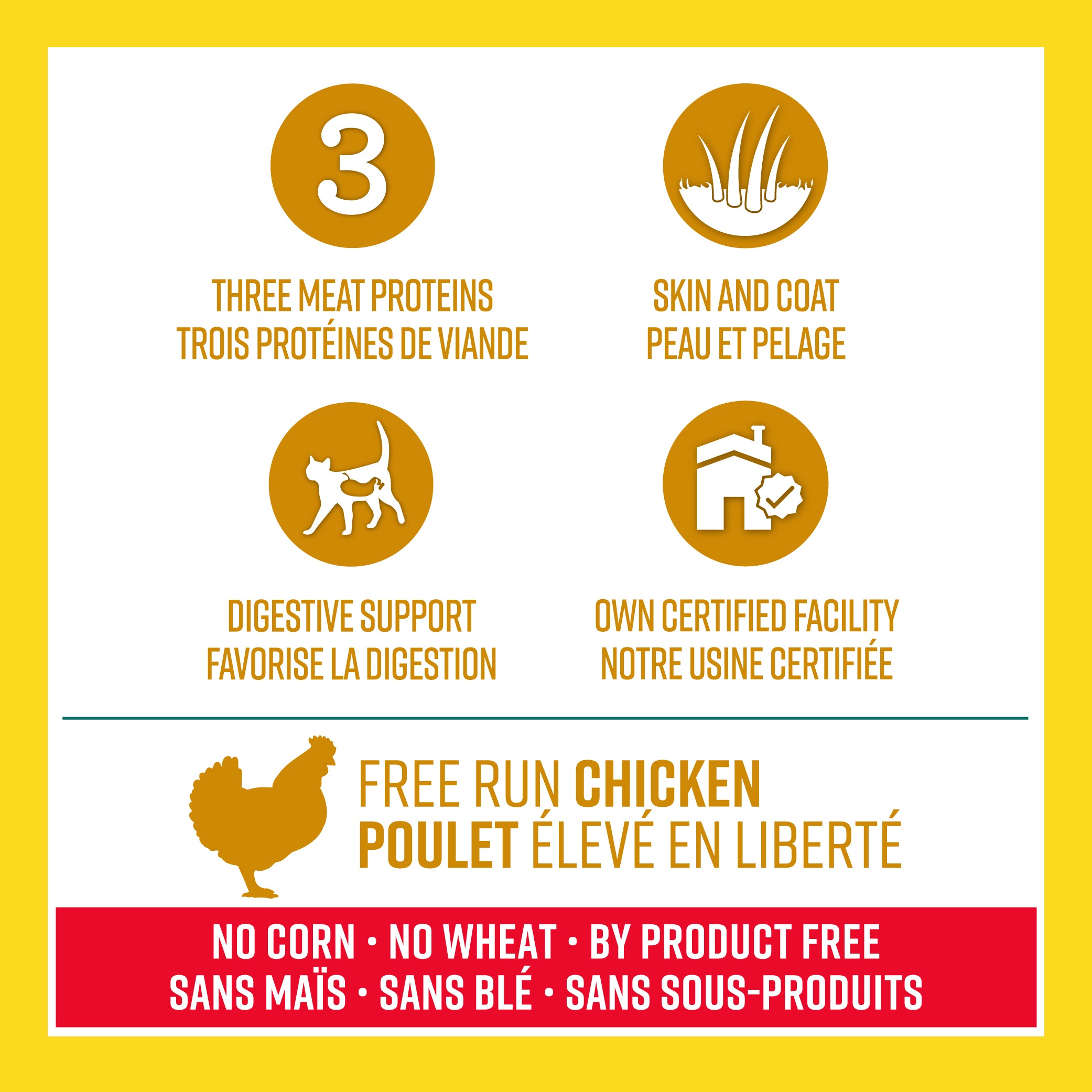 Nourriture pour chats Lifetime Poulet, dinde et flocons d'avoine