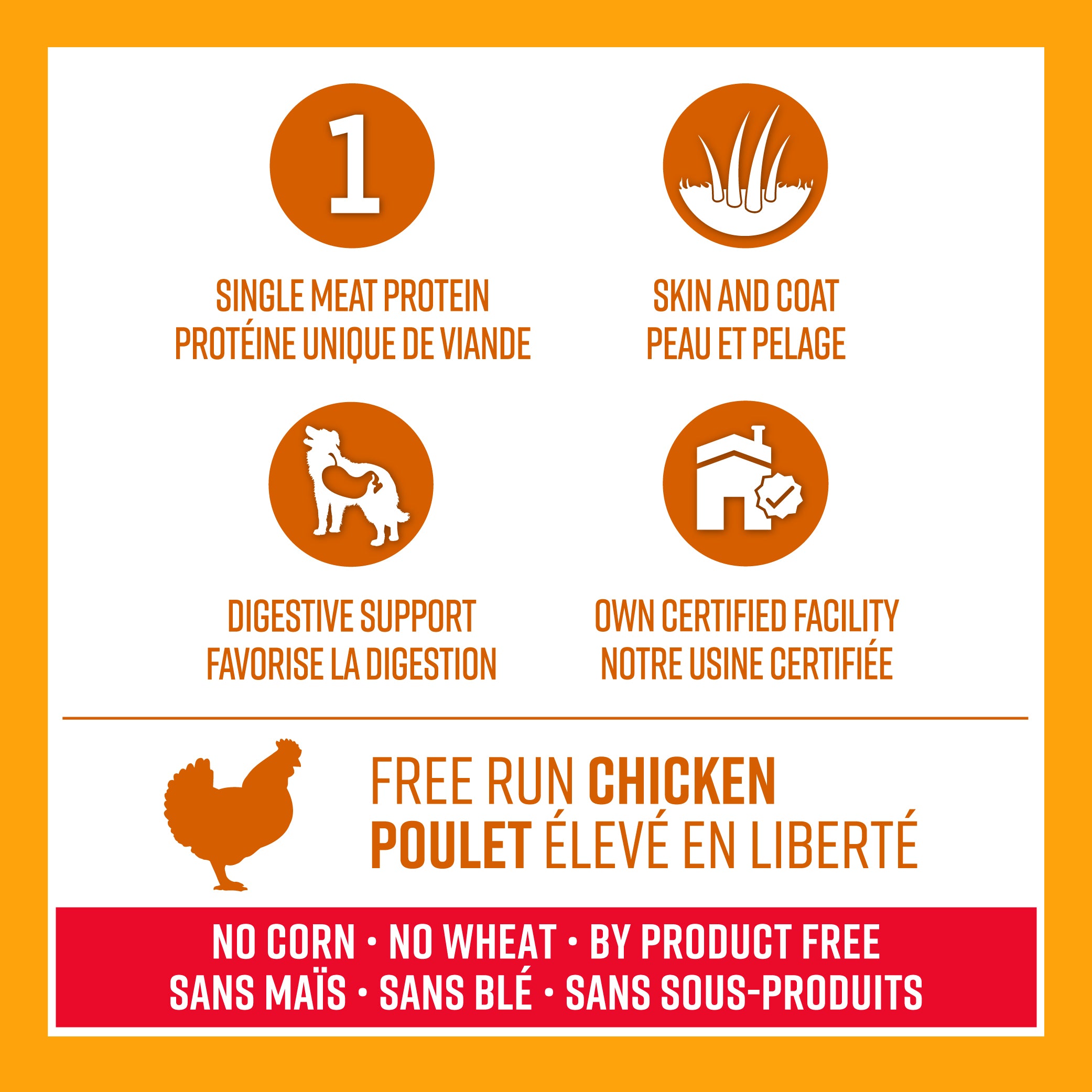 Lifetime All Life Stages Nourriture pour chiens au poulet et à l'avoine