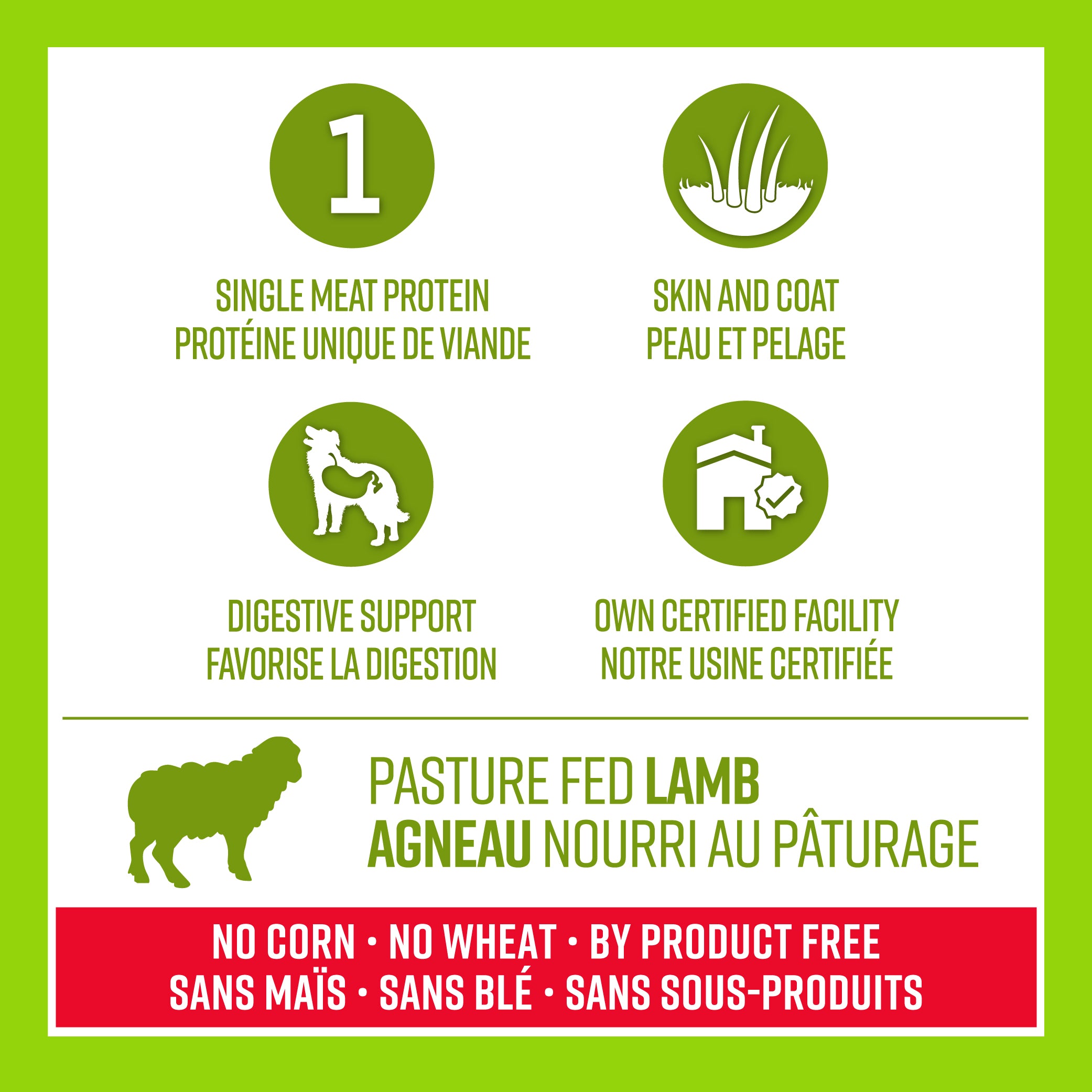Lifetime All Life Stages Nourriture pour chiens Agneau et flocons d'avoine