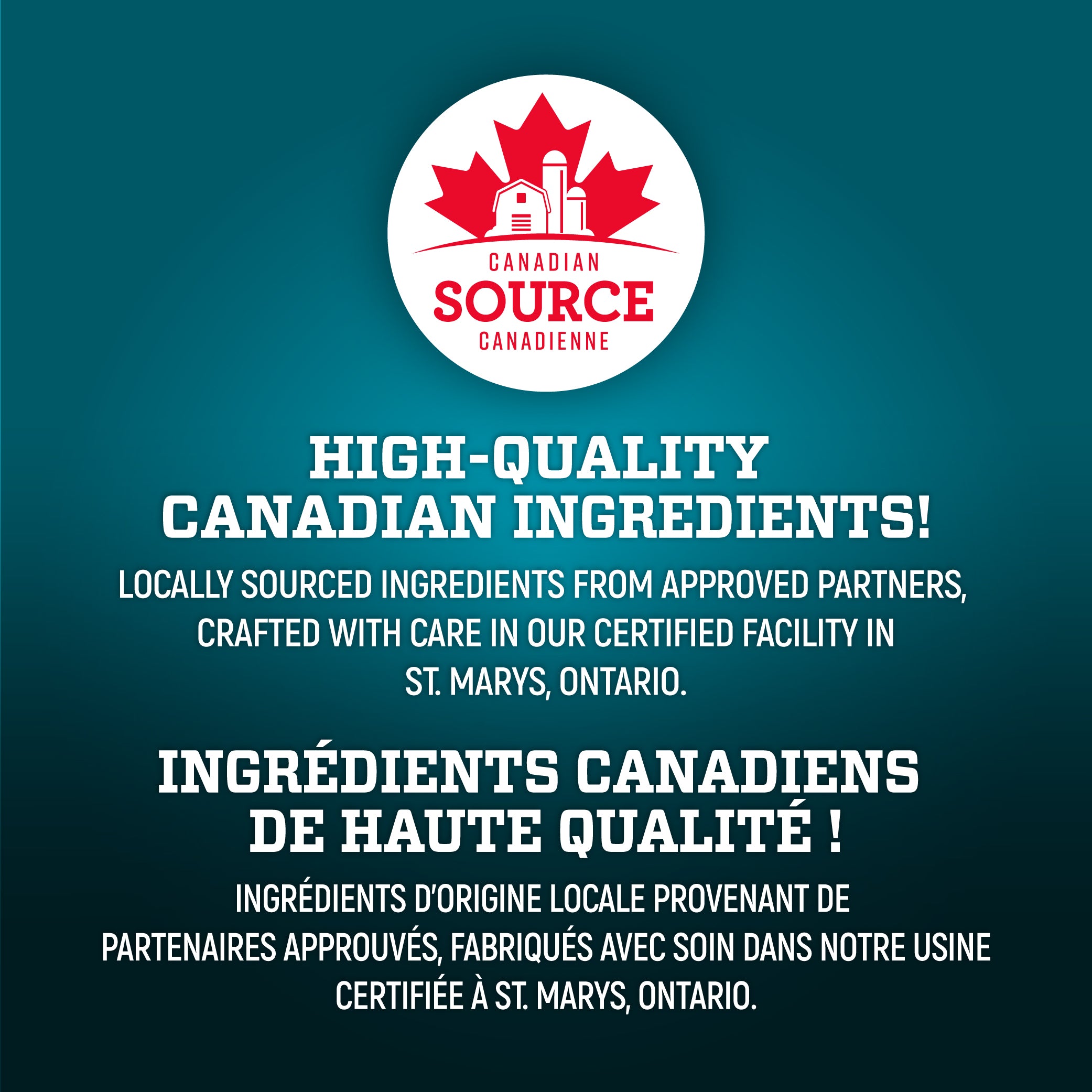 Wholesome Blend Dog Food Large Breed Mobility Care Salmon and Pumpkin Recipe