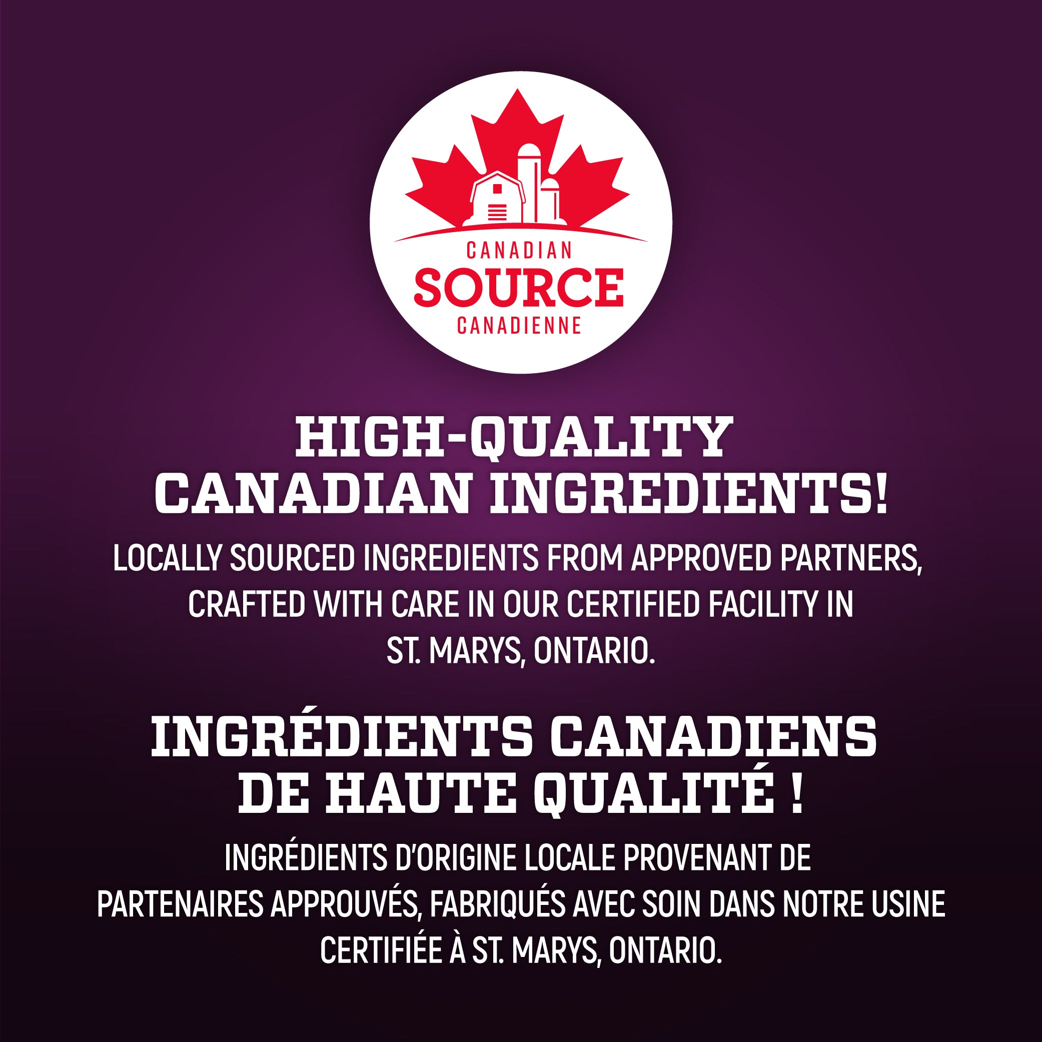 Wholesome Blend Dog Food Skin & Coat Care Salmon & Pumpkin Recipe