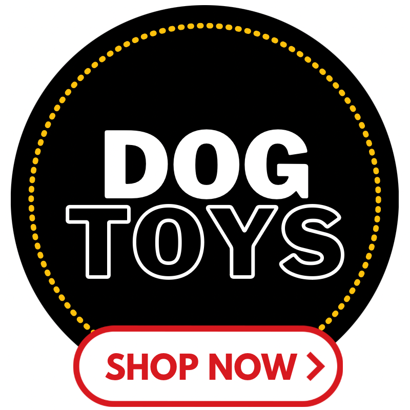 Buy dog toys online in Canada at petmax.ca