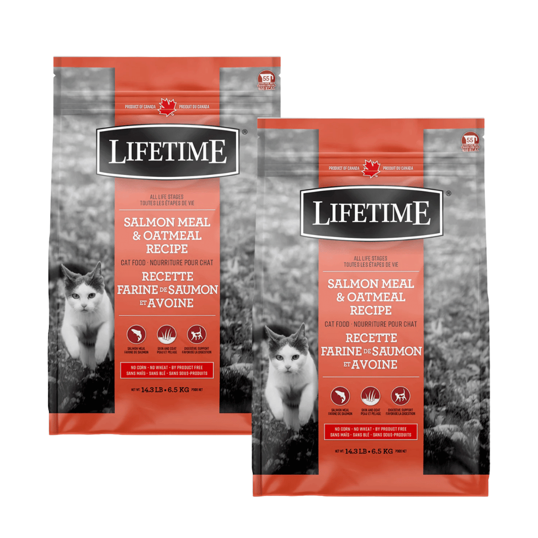 Lifetime Salmon Meal & Oatmeal Cat Food