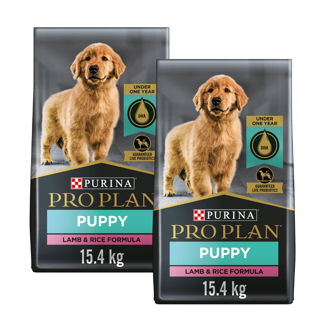 Purina Pro Plan Riche en Protéines DHA Formule Agneau & Riz pour Chiots