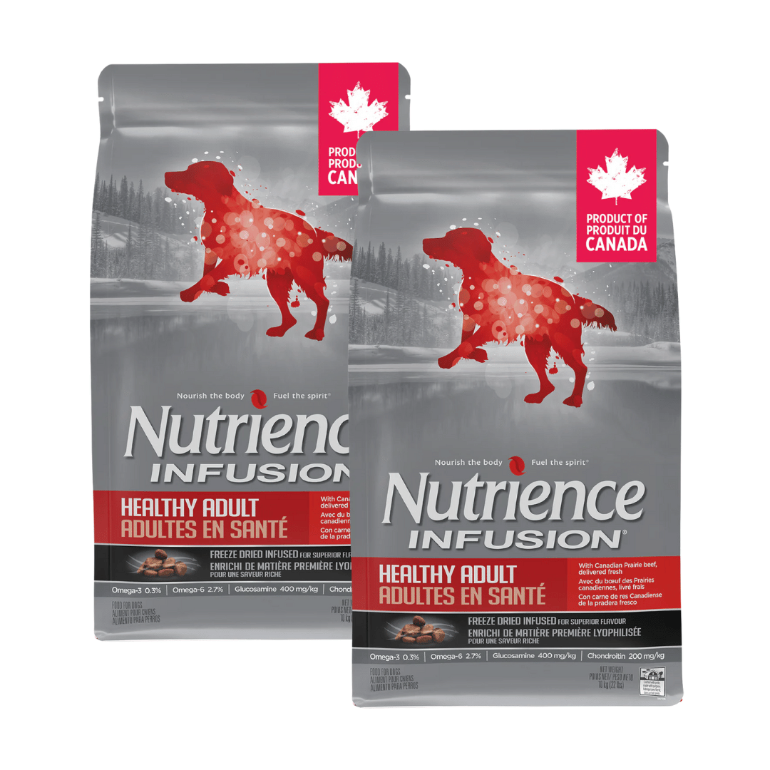 Nutrience Infusion Healthy Adult Beef Dry Dog Food