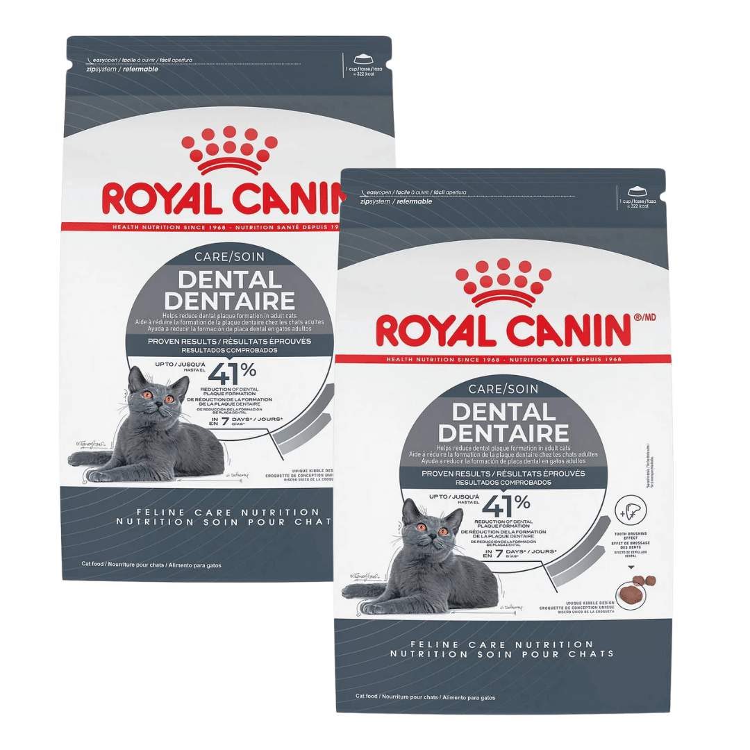 Royal Canin Feline Care Nutrition Dental Care Dry Cat Food