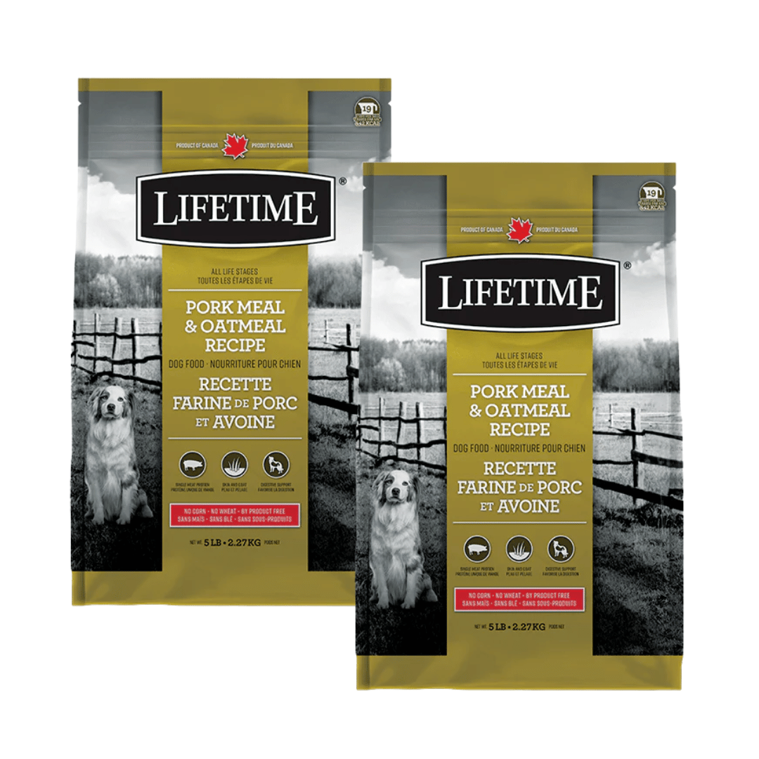Lifetime All Life Stages Nourriture pour chiens au porc et à l'avoine