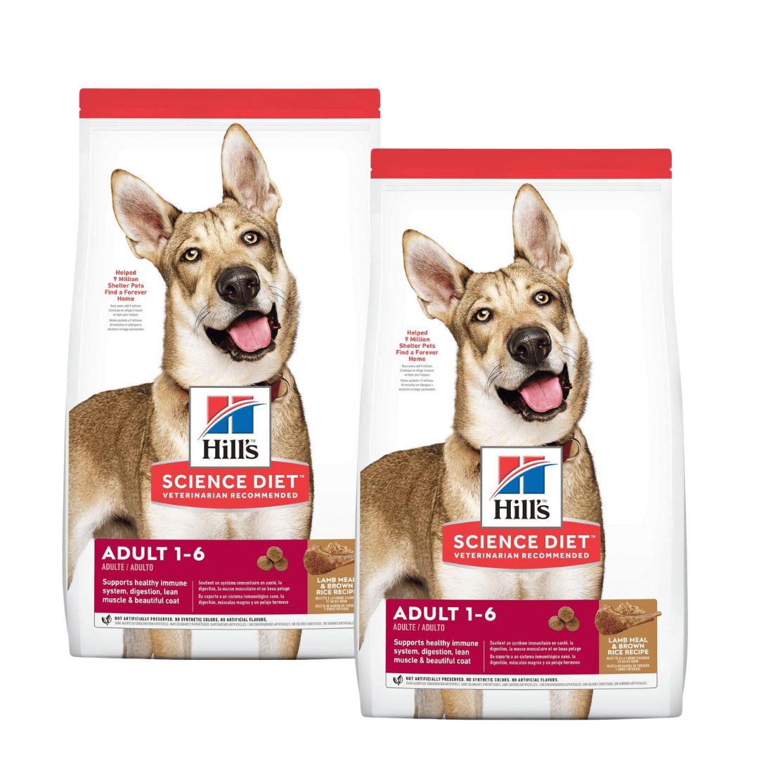 Hill's Science Diet Nourriture sèche pour chien Adulte 1-6 Recette d'agneau