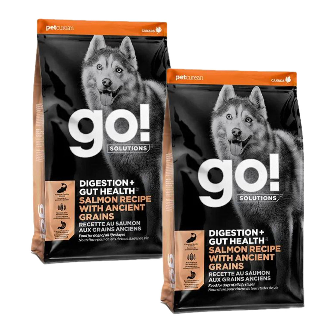 Go! Digestion + Gut Health Salmon Recipe with Ancient Grains for dogs