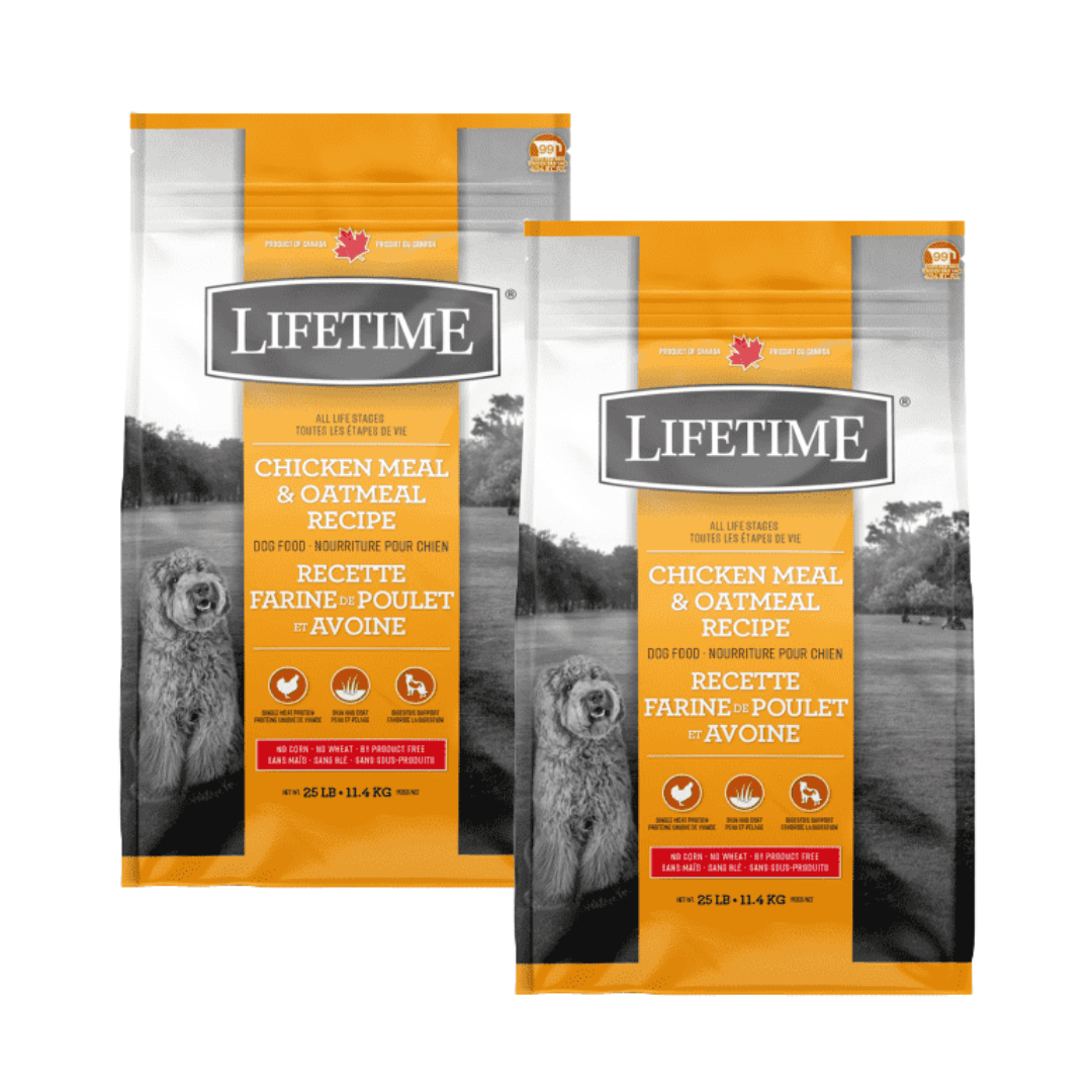 Lifetime All Life Stages Nourriture pour chiens au poulet et à l'avoine