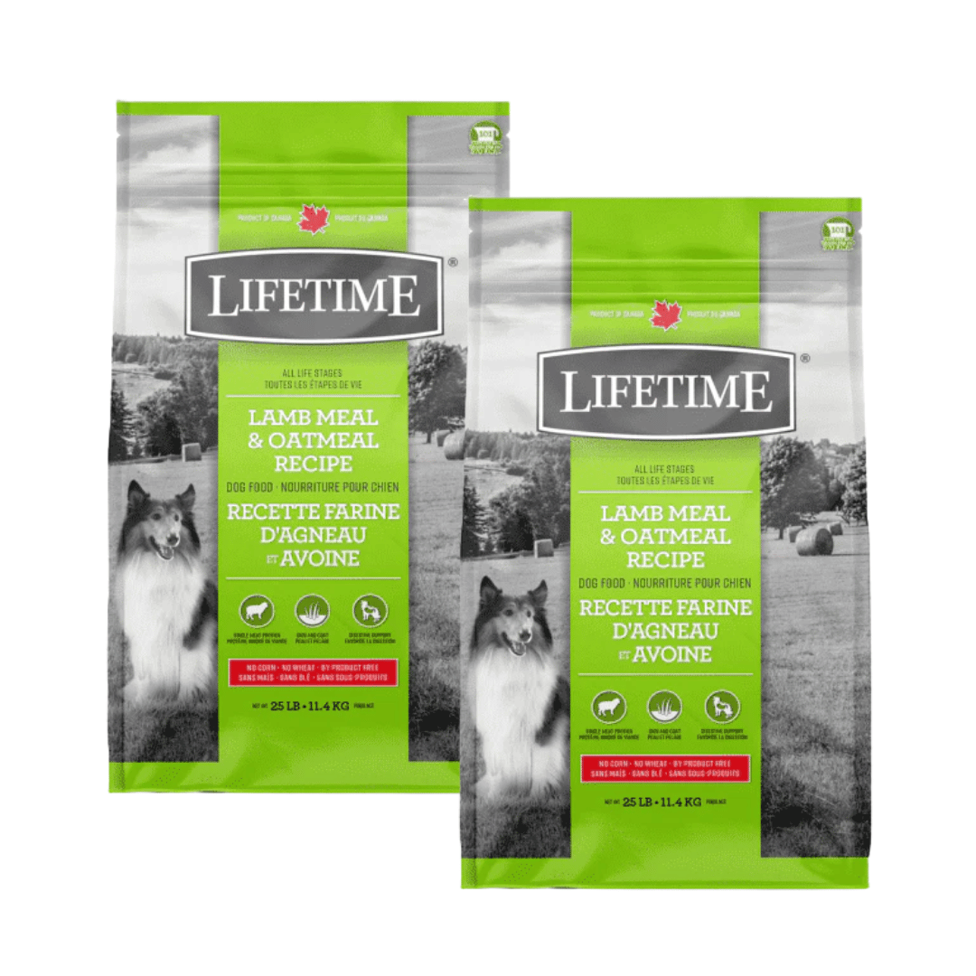 Lifetime All Life Stages Nourriture pour chiens Agneau et flocons d'avoine