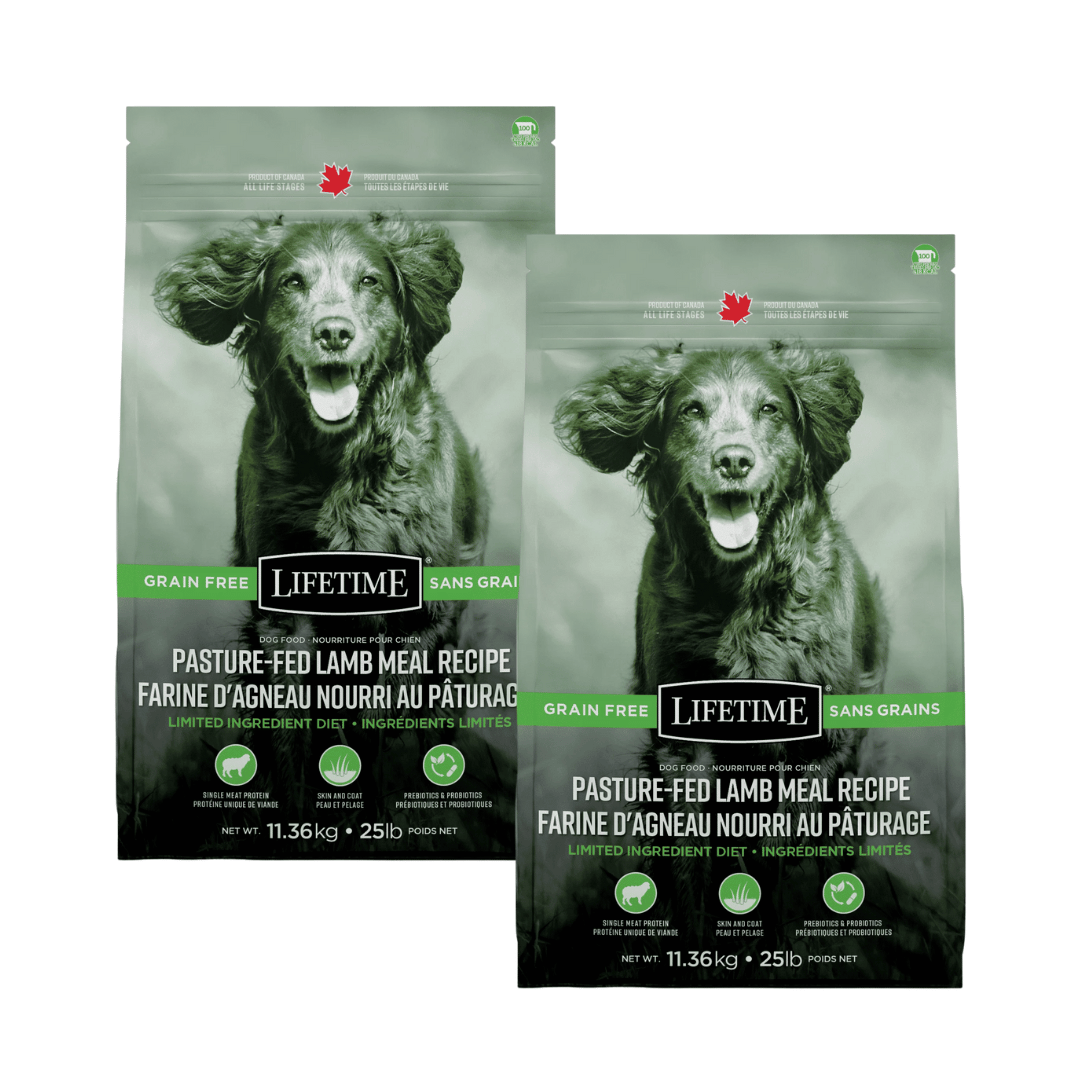 Lifetime Pasture Fed Lamb Grain Free Dog Food