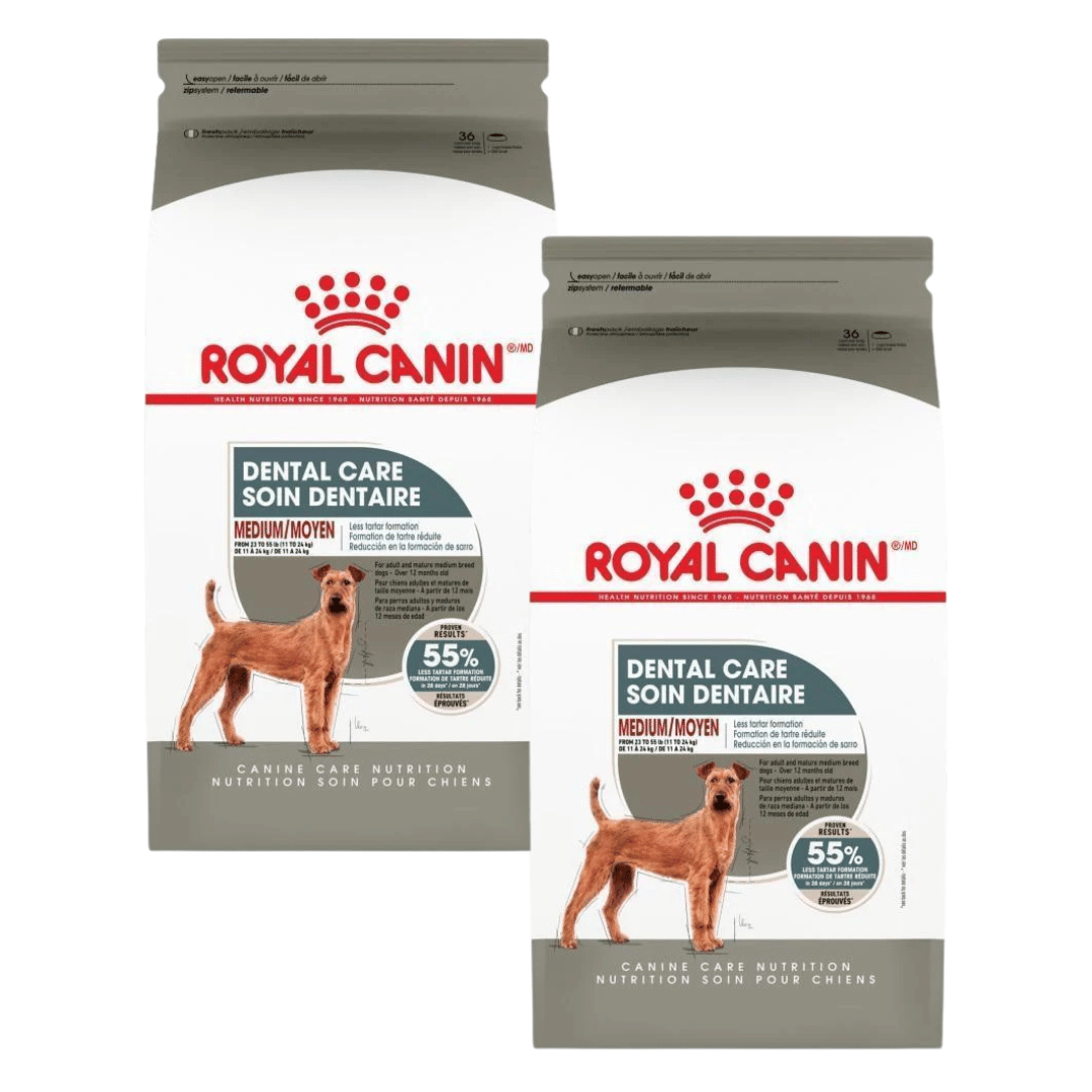 Royal Canin Medium Dental Care – Nourriture sèche pour chiens