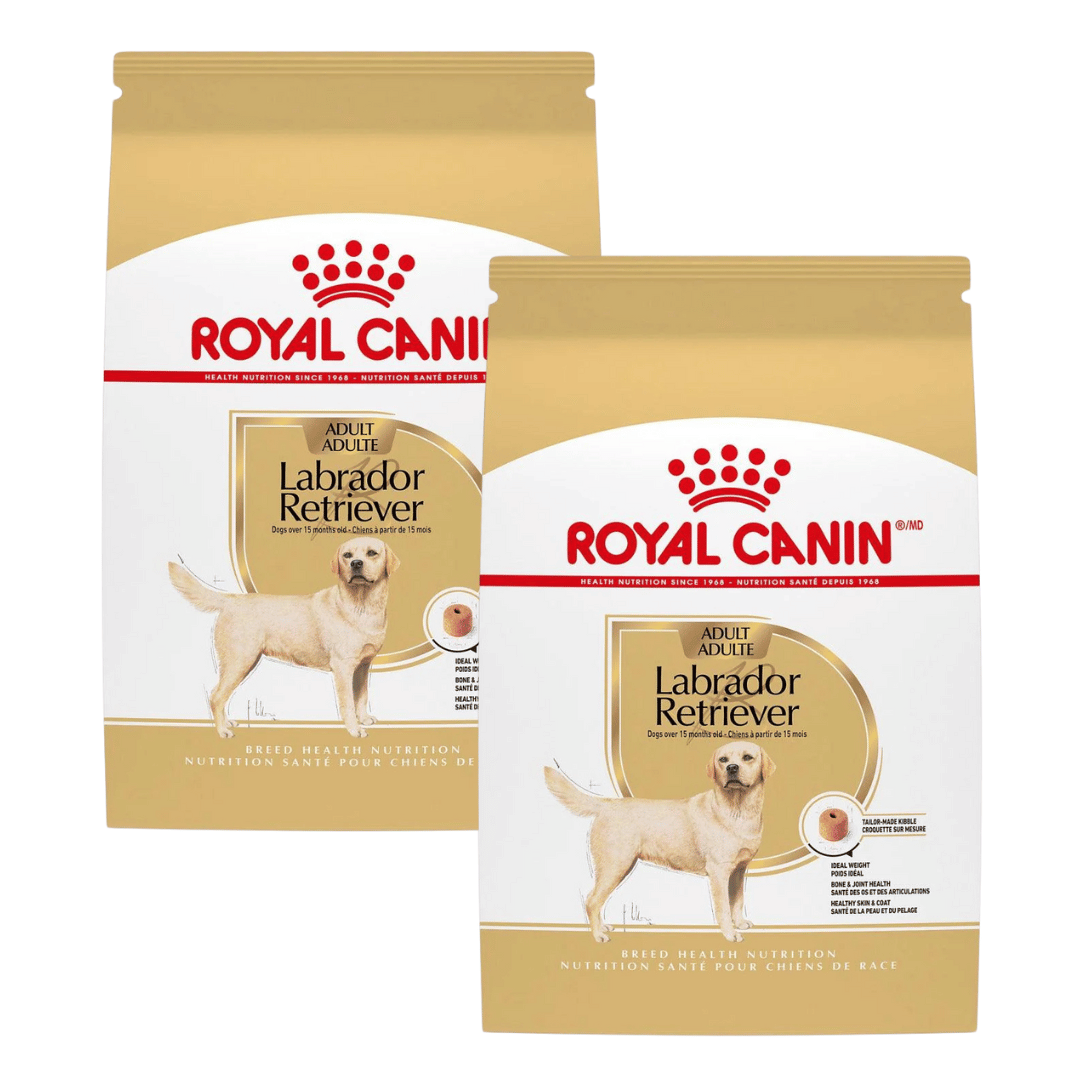 Nourriture pour chiens Royal Canin Labrador Retriever