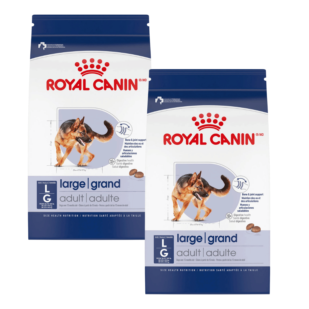 Royal Canin Croquettes Chien Grande Race Adulte