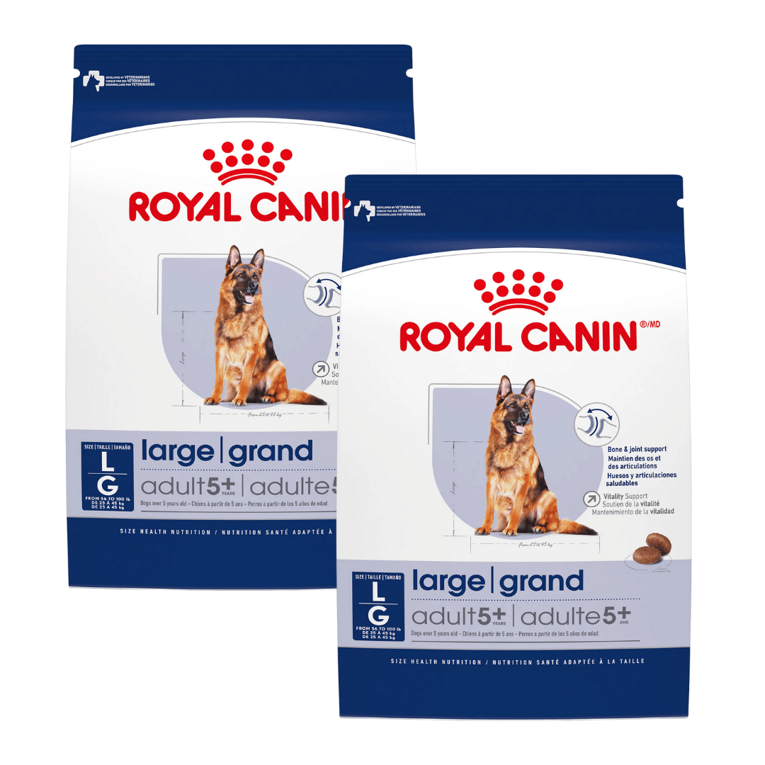 Royal Canin Nourriture pour chien Large Aging Care Adult 5+