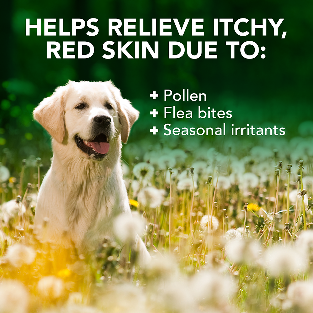 Vets Best Allergy Itch Relief Dog Shampoo