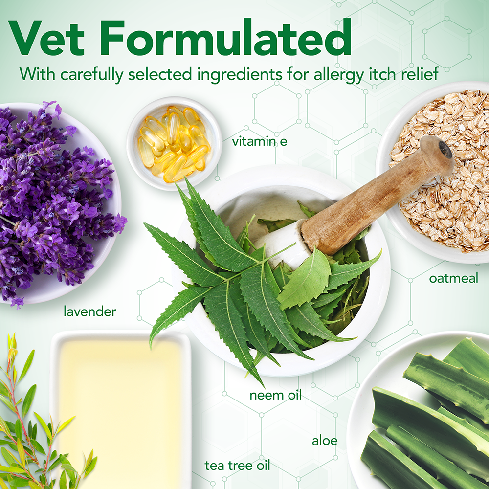 Vets Best Allergy Itch Relief Dog Shampoo