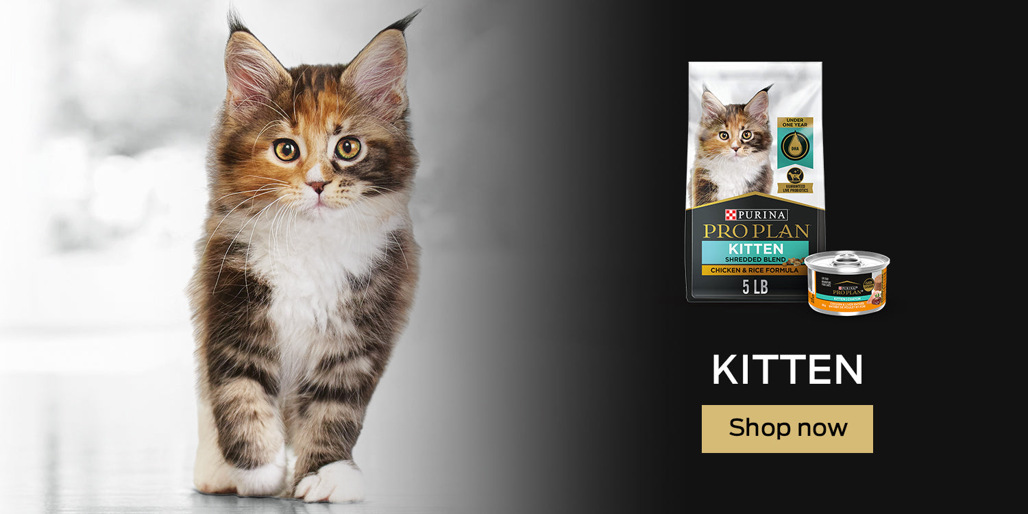 Buy Pro Plan Kitten Food Online in Canada at PetMax.ca