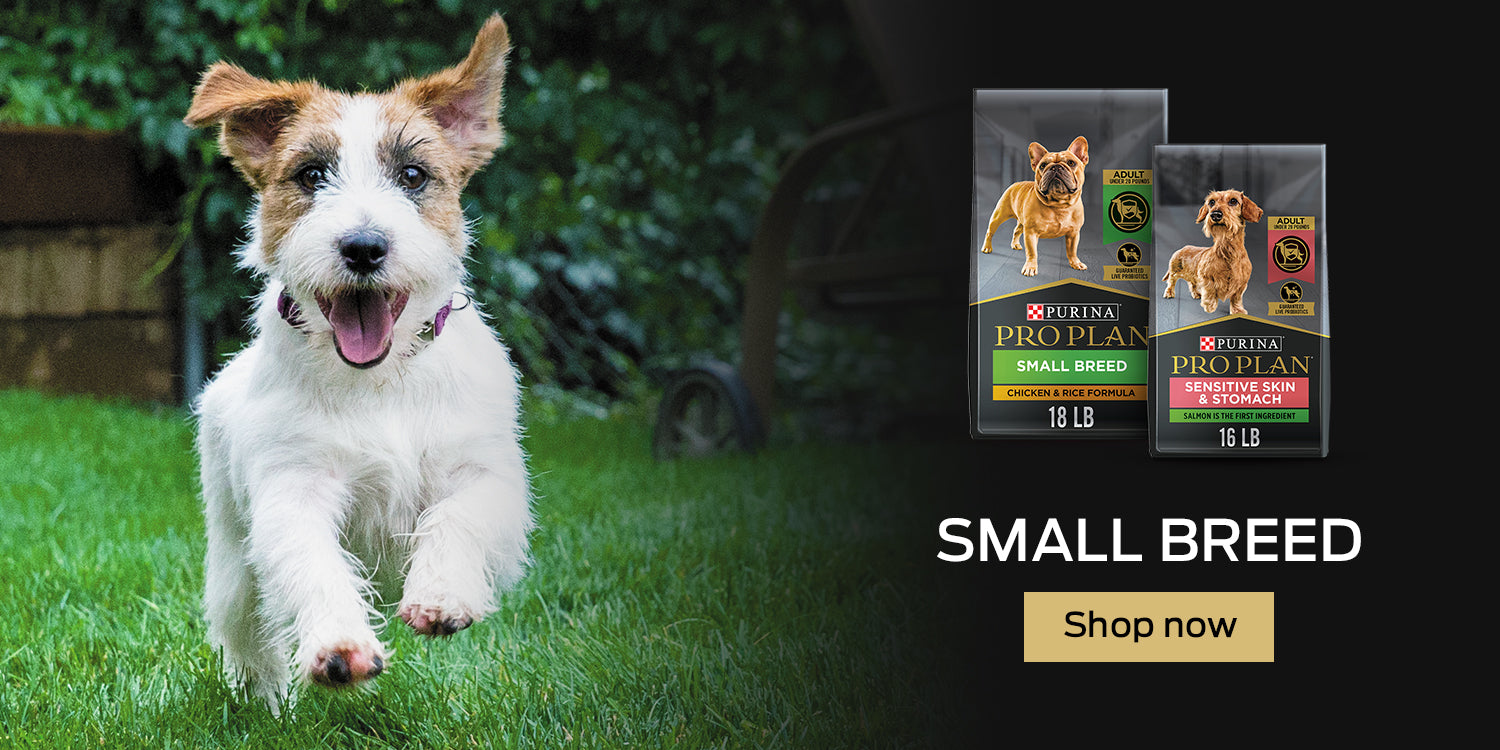 Buy Pro Plan Small Breed Dog Food Online in Canada at PetMax.ca