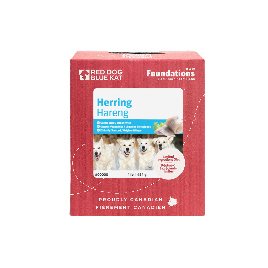 Red Dog Blue Kat Dog Foundations Raw Herring Recipe