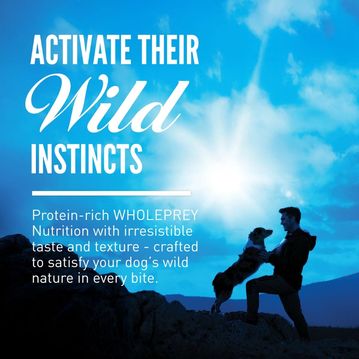 Orijen Wild Reserve Free-Run Chicken Recipe Dry Dog Food - Lifestyle: activate their wild instincts - Orijen - PetMax Canada