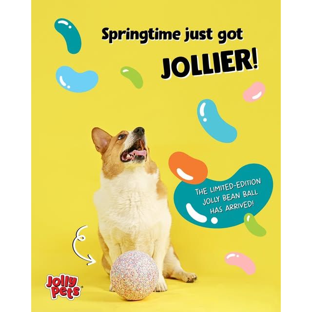 Jolly Pets Spring Jolly Soccer Ball - The Jolly Bean Ball