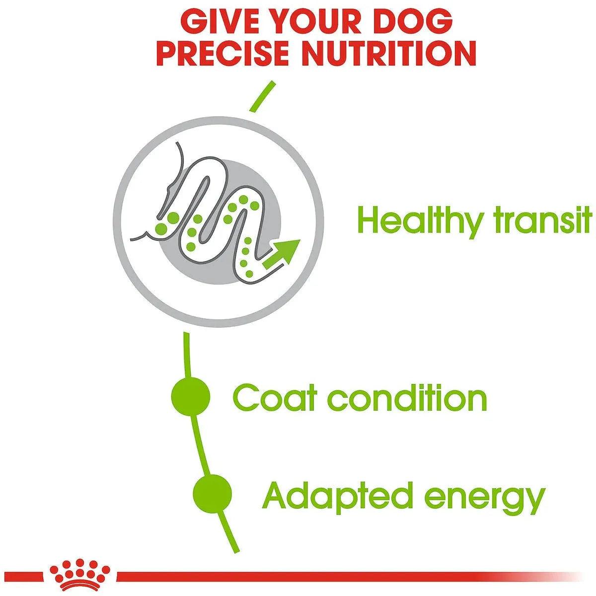 Royal Canin Size Health Nutrition X-Small Adult Dry Dog Food Dog Food | PetMax Canada