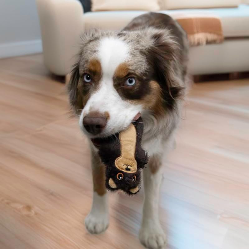 Kong Snuzzles Mini Otter Dog Toy