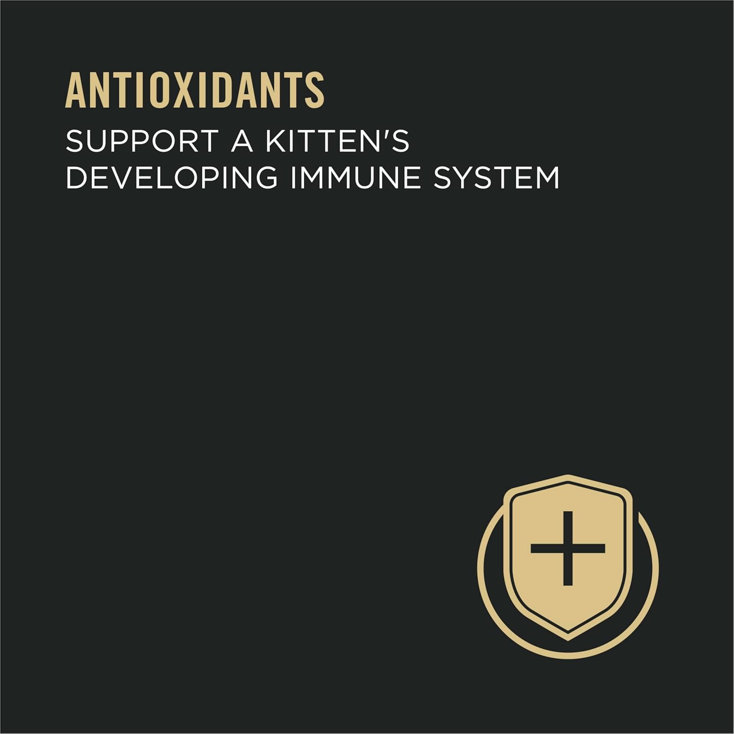 Purina Pro Plan Focus Kitten Variety Pack