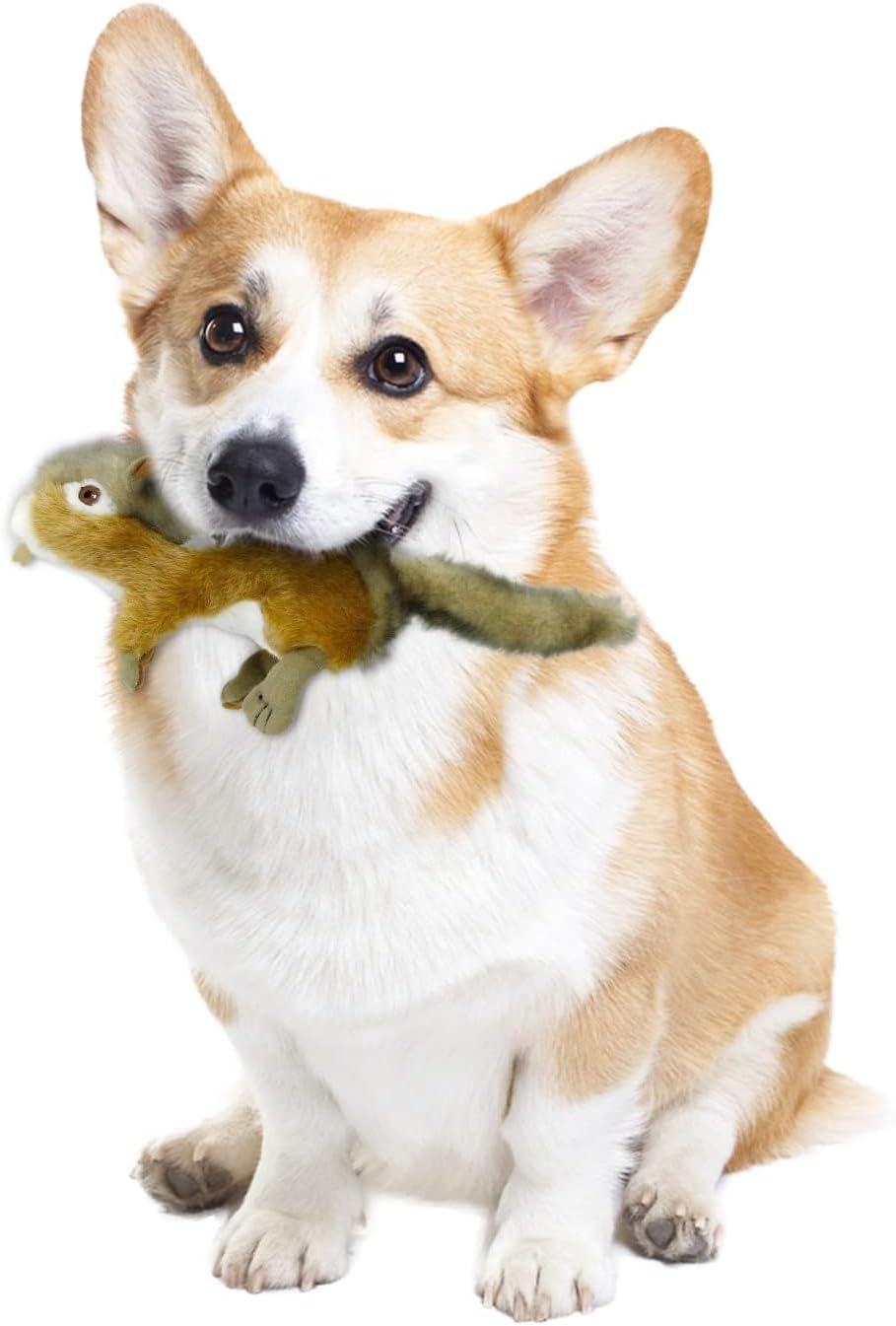 All for Paws Classic Chipmunk Toy