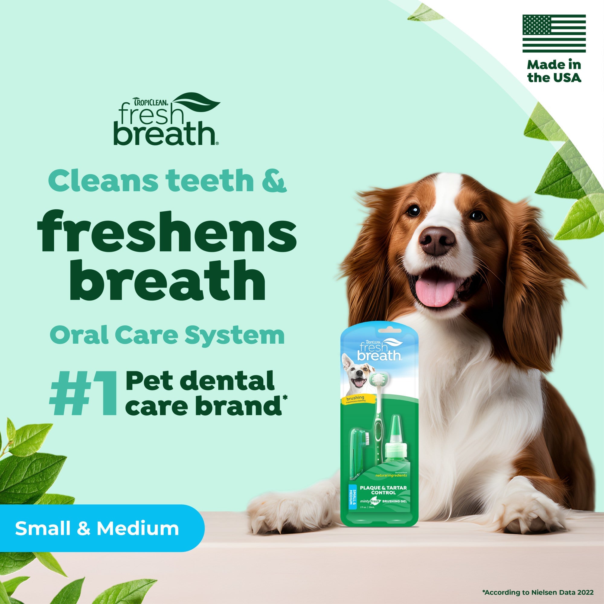 TropiClean Fresh Breath Plaque & Tartar Control Kit for Dogs