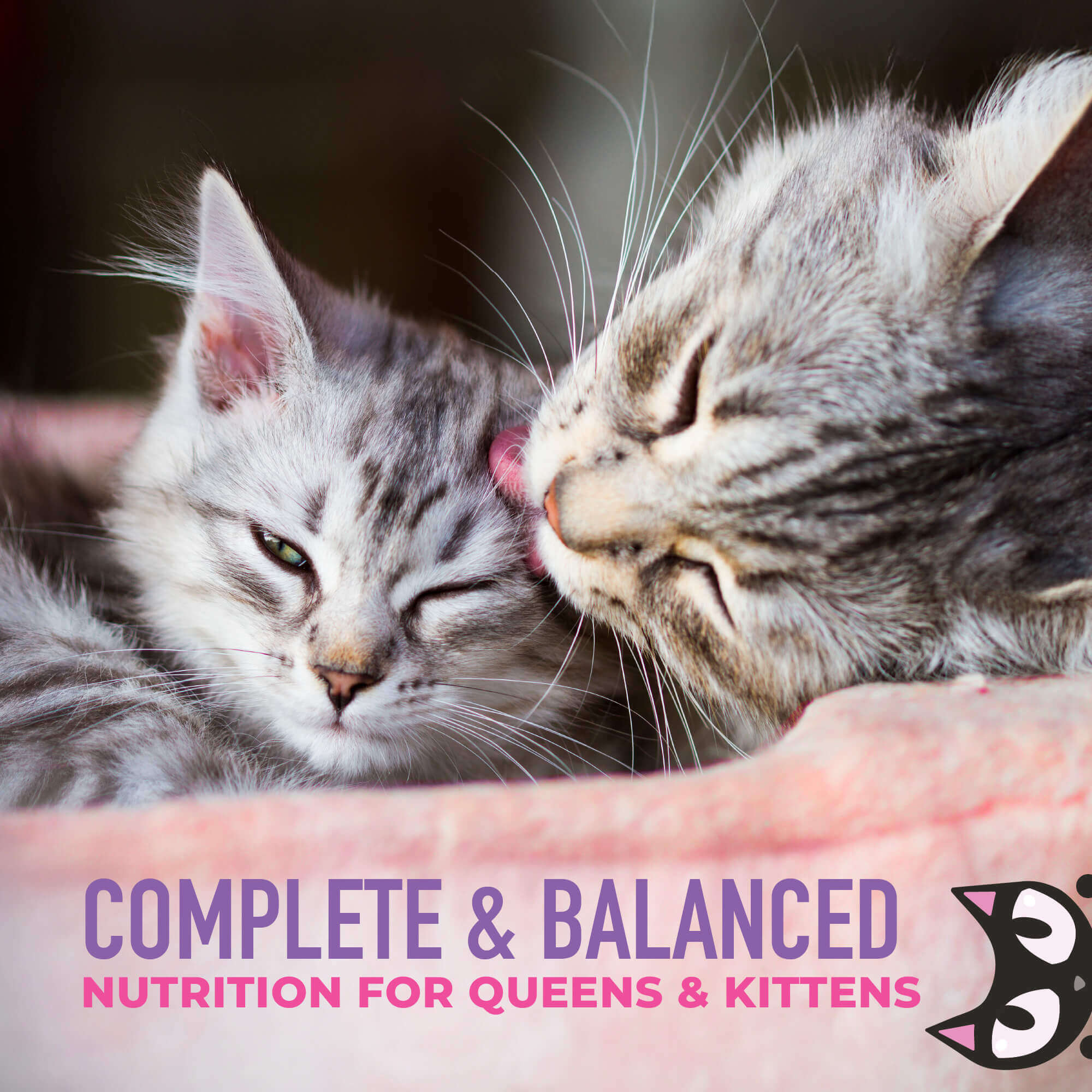Tiki Baby Cat Weaning Puree Chicken & Chicken Liver Recipe in Broth
