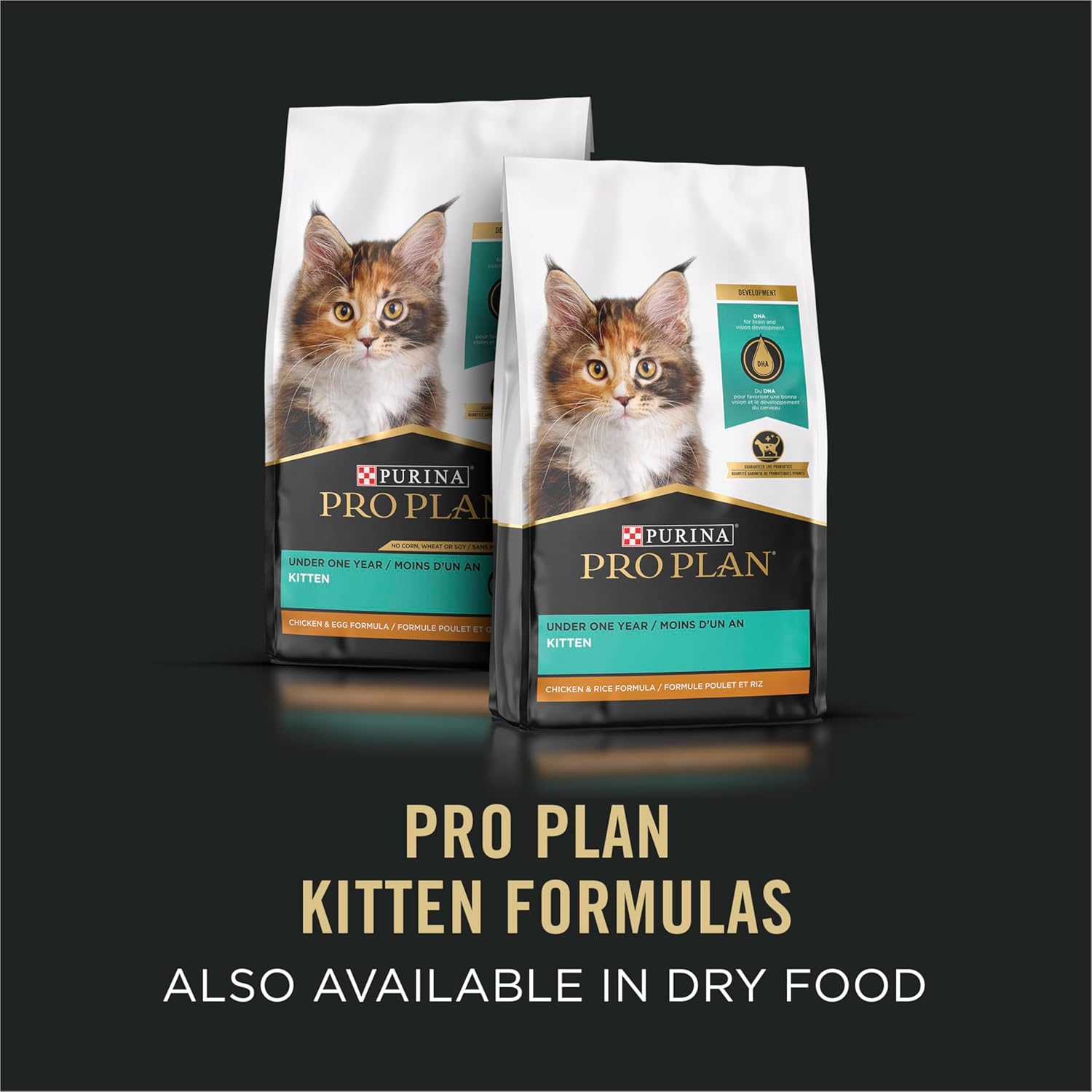 Purina Pro Plan Focus Kitten Variety Pack