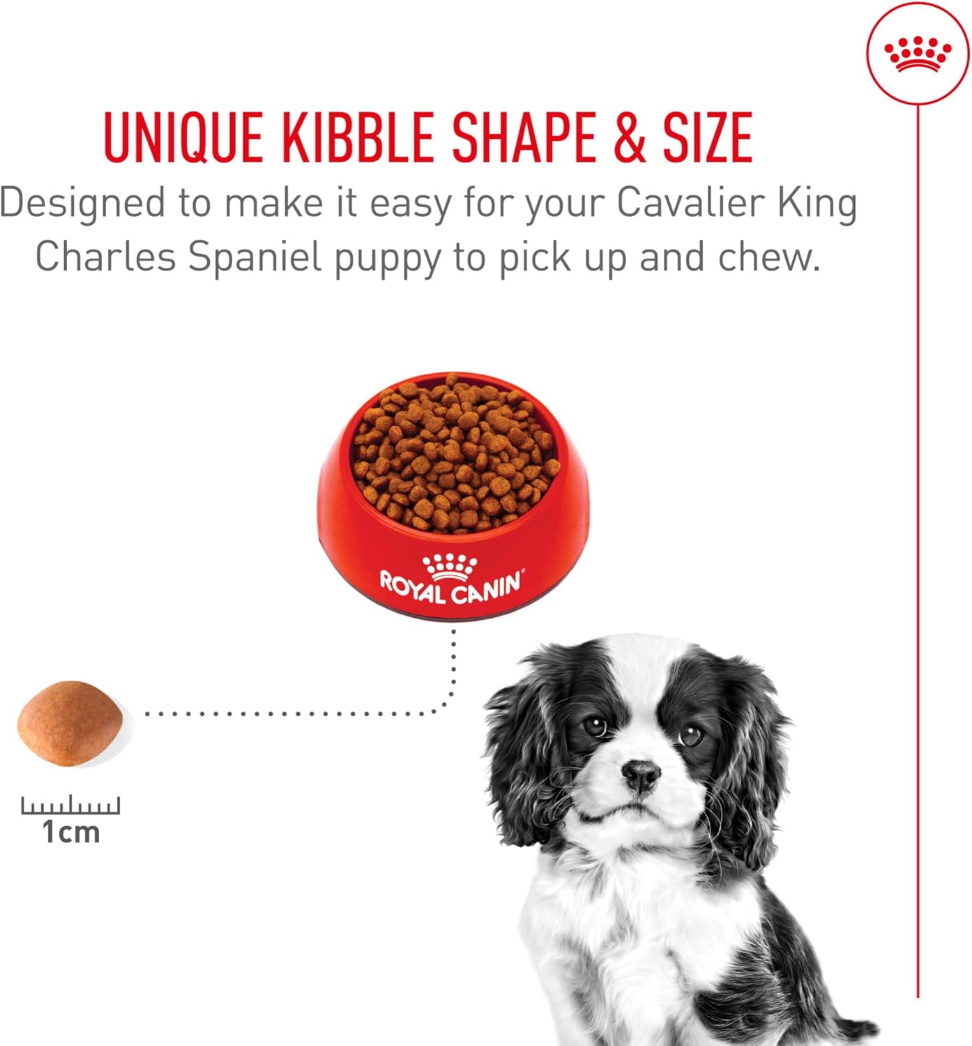 Royal Canin Breed Health Nutrition Cavalier King Charles Puppy Dry Dog Food