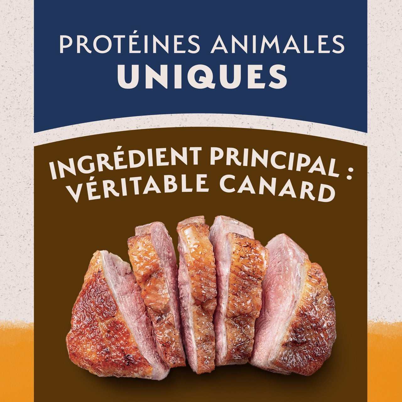 Natural Balance Limited Ingredient Diet Grain Free Duck and Potato Dog Food