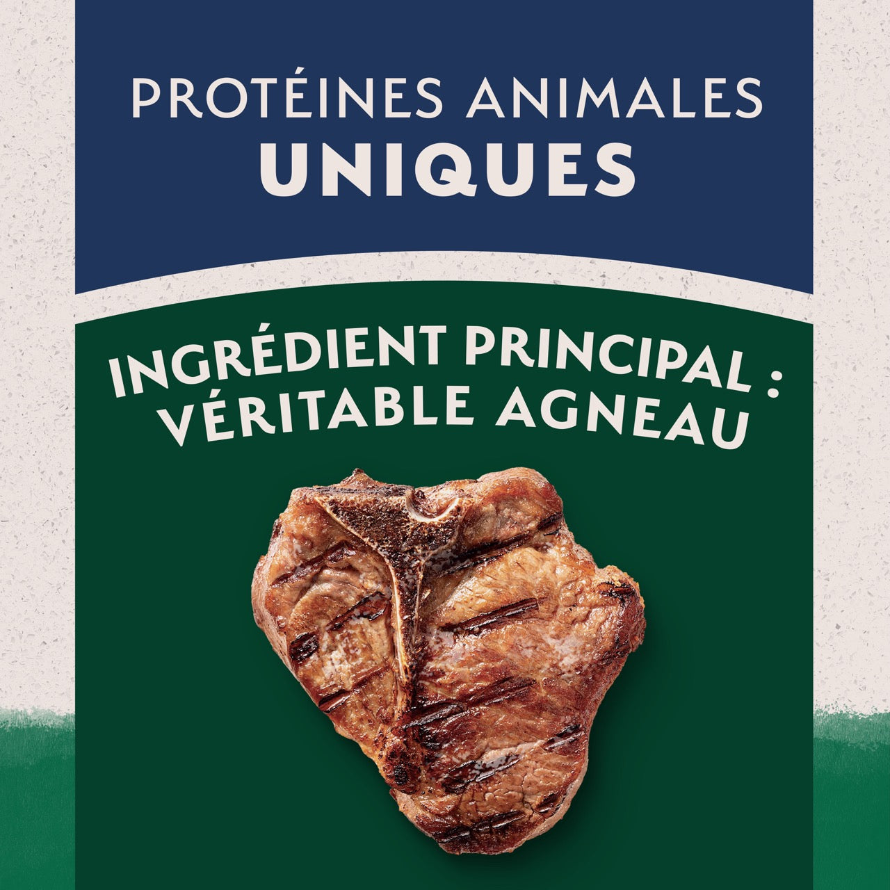 Natural Balance Limited Ingredient Diet Lamb Meal & Rice Dog Food