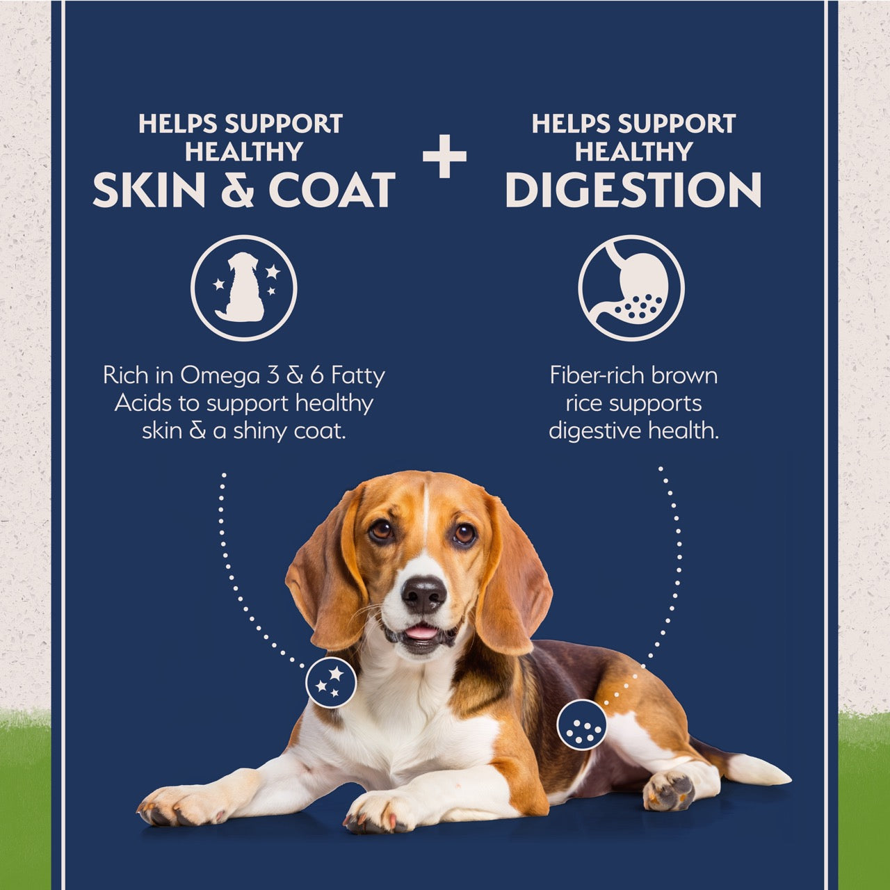 Natural Balance Limited Ingredient Diet Vegetarian Adult Dry Dog Food