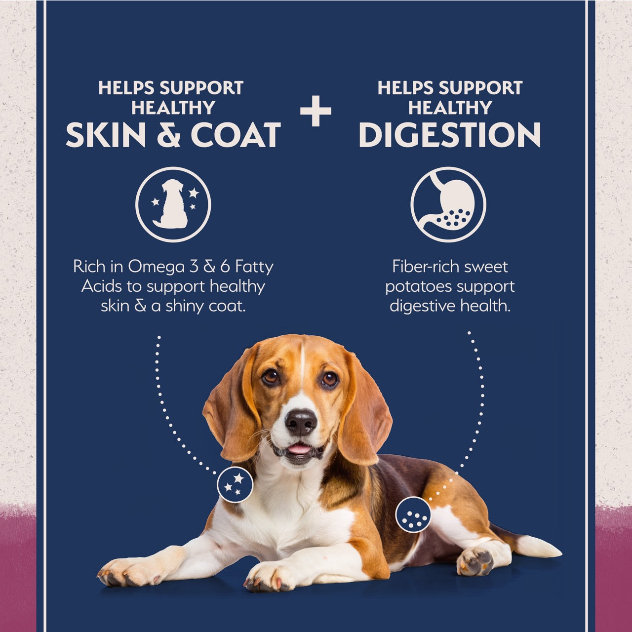 Natural Balance Limited Ingredient Diet Sweet Potato & Venison Dog Food