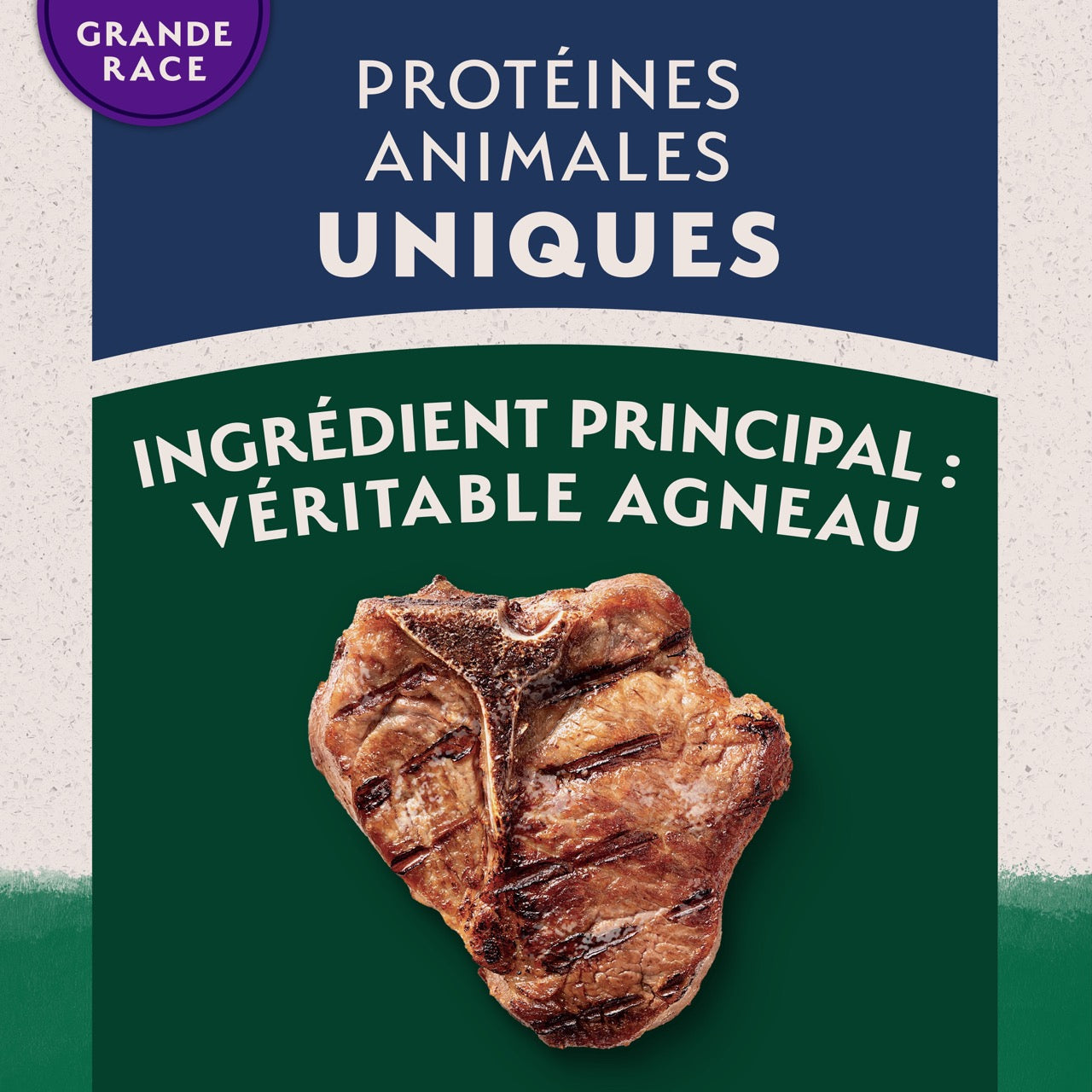 Nourriture pour chiens de grande race à base d'ingrédients limités Natural Balance Agneau et riz