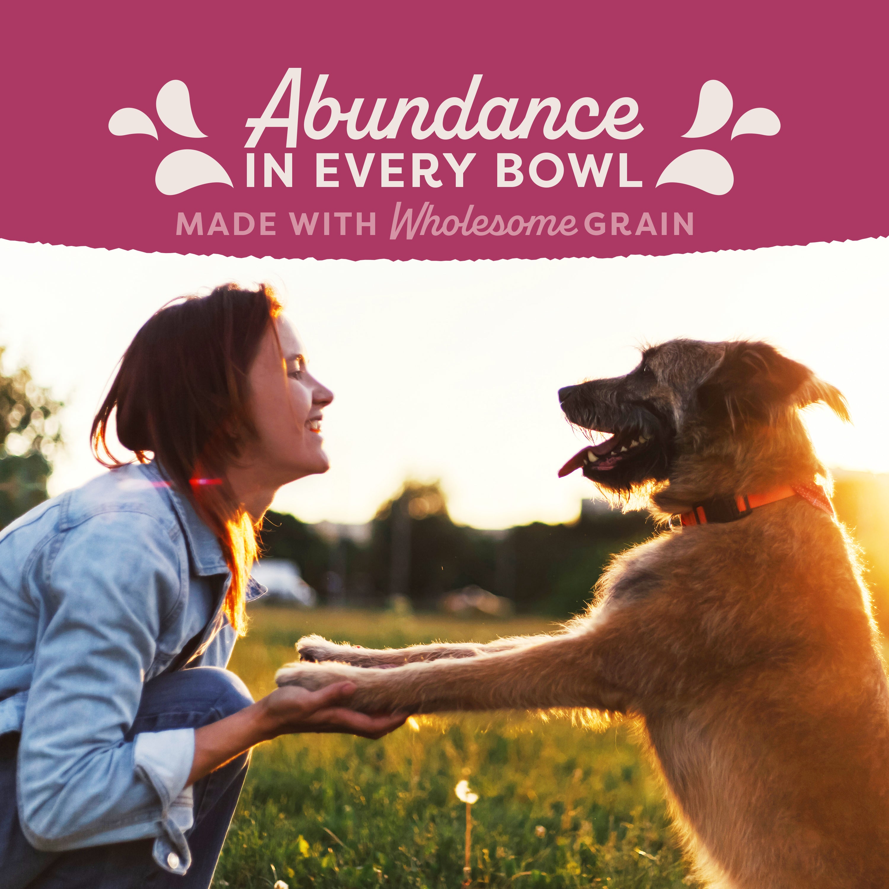 Natural Balance Targeted Nutrition Fat Dogs Low Calorie Dog Food