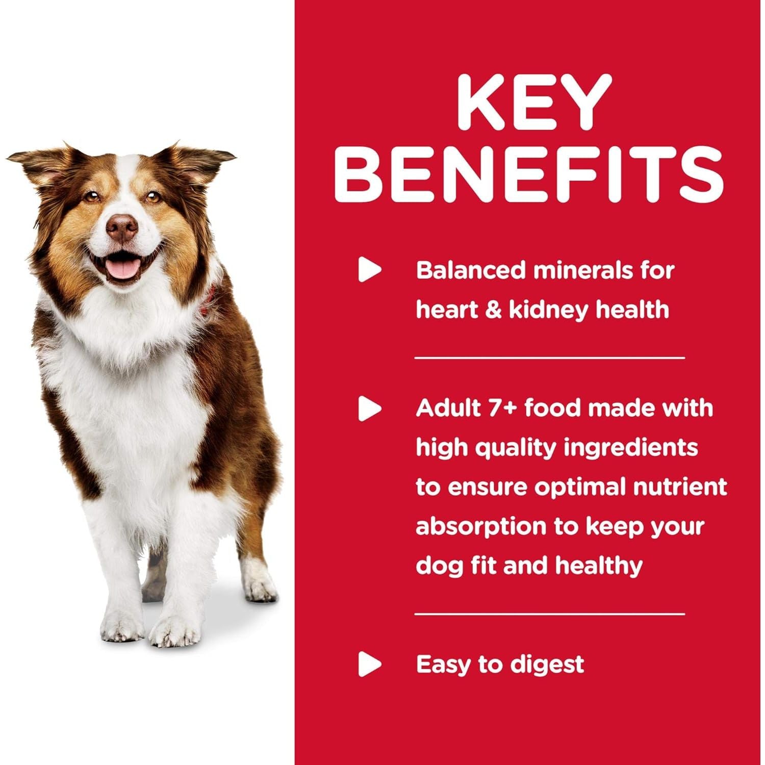 Science Diet Canine Can Healthy Cuisine Beef 7+