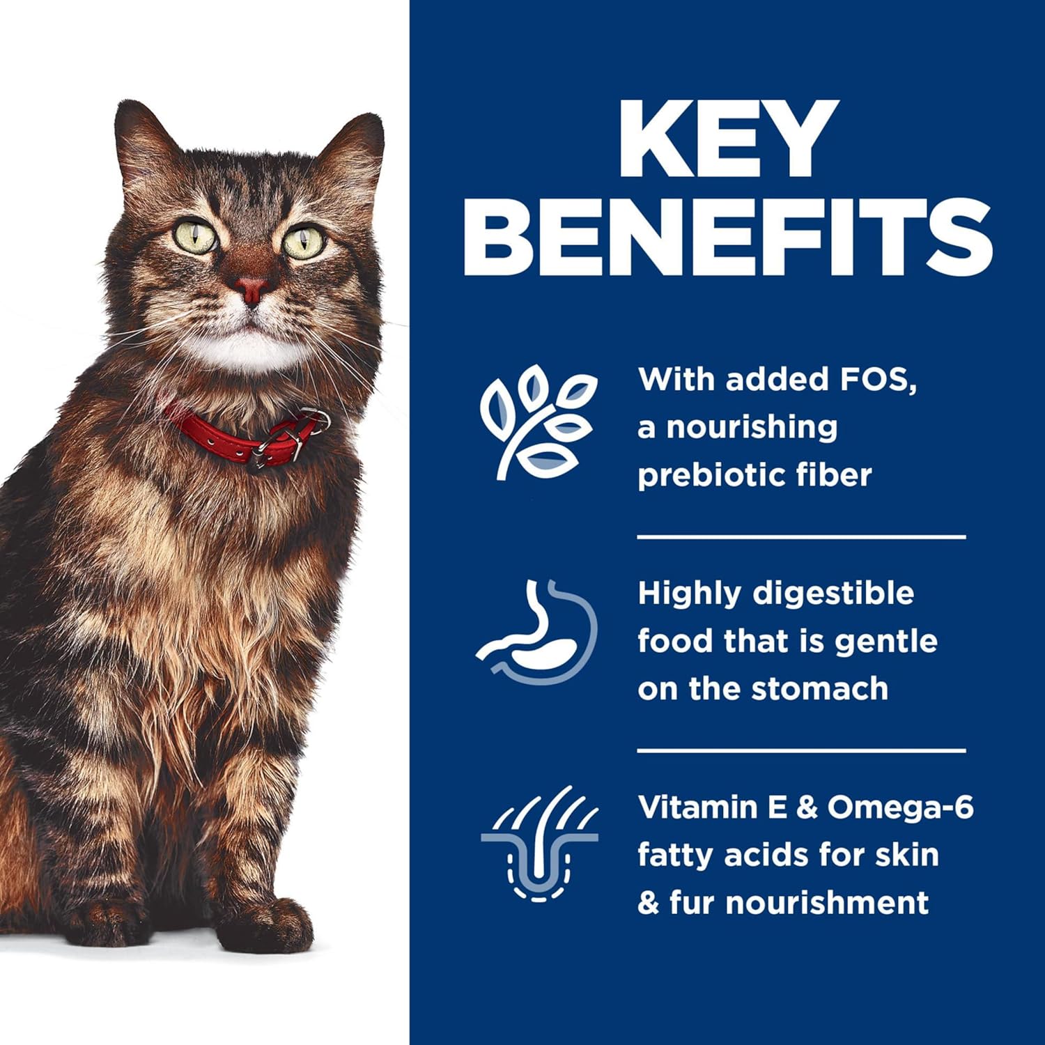 Hill's Science Diet Feline Sensitive Stomach & Skin Variety Pack Pouches Cat Food