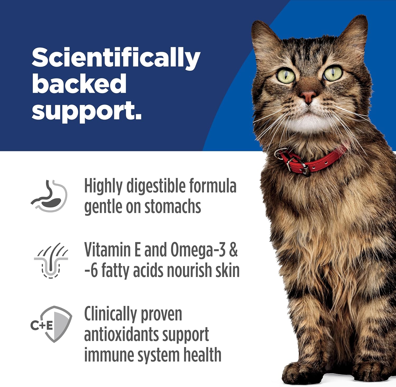 Hill's Science Diet Adult Sensitive Stomach & Skin Salmon Recipe Dry Cat Food