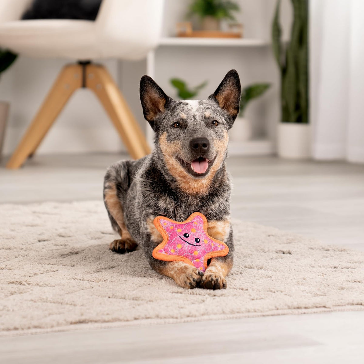 goDog Tough Guard Shelby Starfish Plush Dog Toy - Dog relaxing with the starfish - PetMax Canada